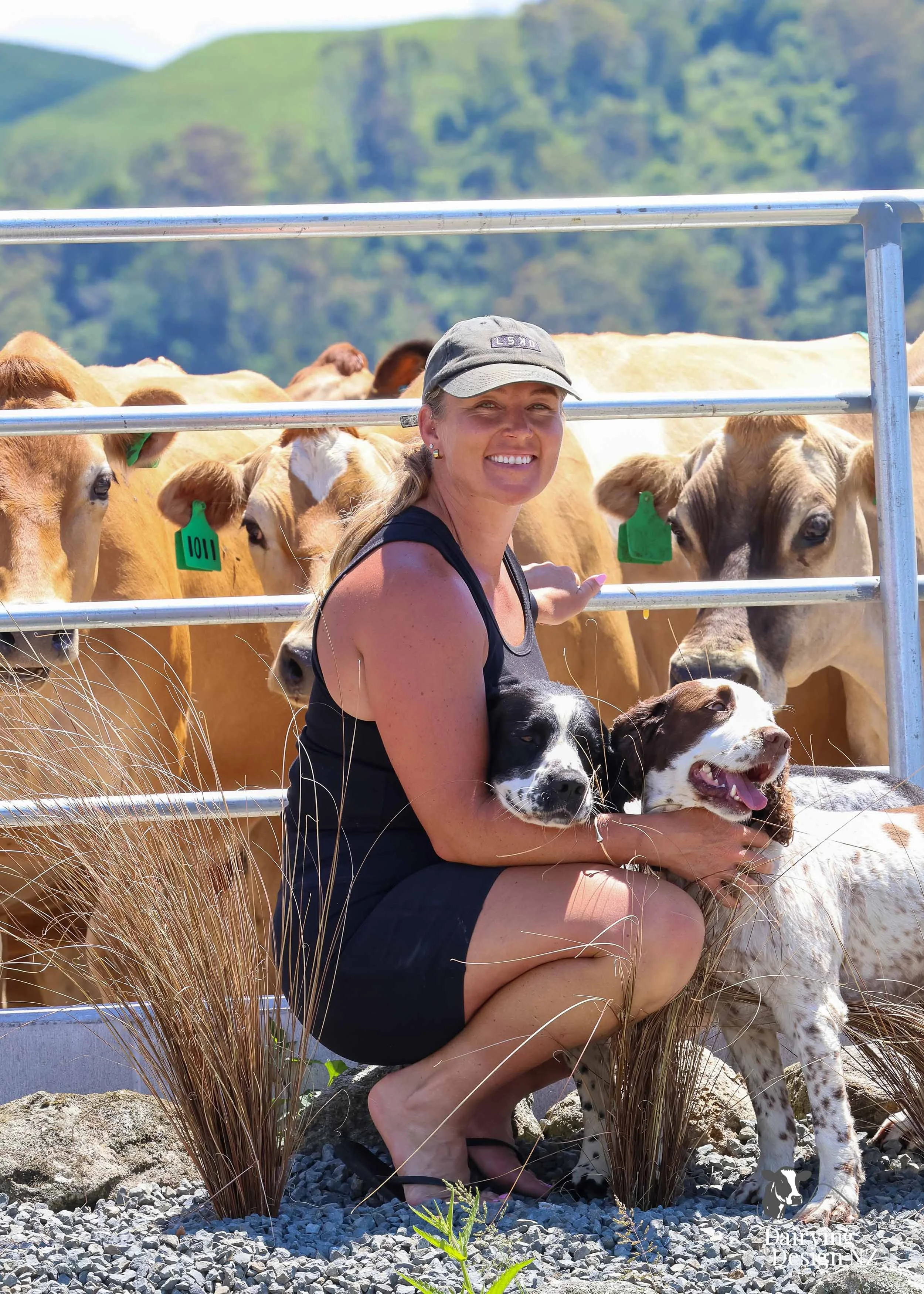  Whakatane rotary dairy shed development designed for efficient milking and cow flow built by Yates Carpentry &amp; Construction, Milking plant install by 60/40 Milking, yard work by WJ Dippie, Milking platform by Landmore Agri, Effluent storage by K