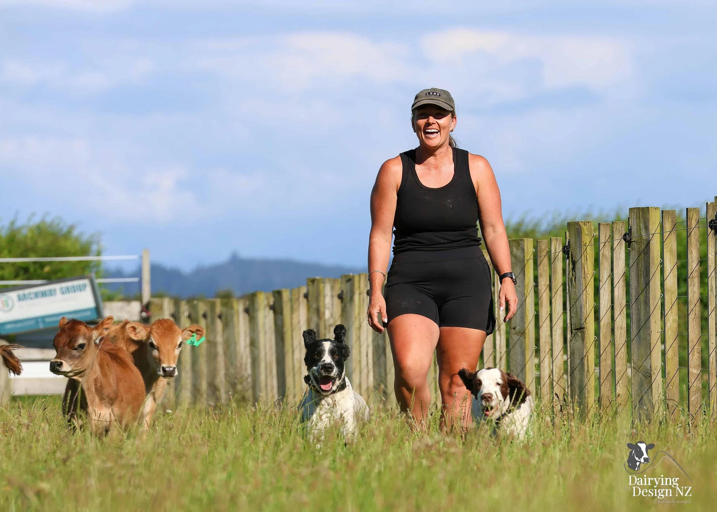  Whakatane rotary dairy shed development designed for efficient milking and cow flow built by Yates Carpentry &amp; Construction, Milking plant install by 60/40 Milking, yard work by WJ Dippie, Milking platform by Landmore Agri, Effluent storage by K