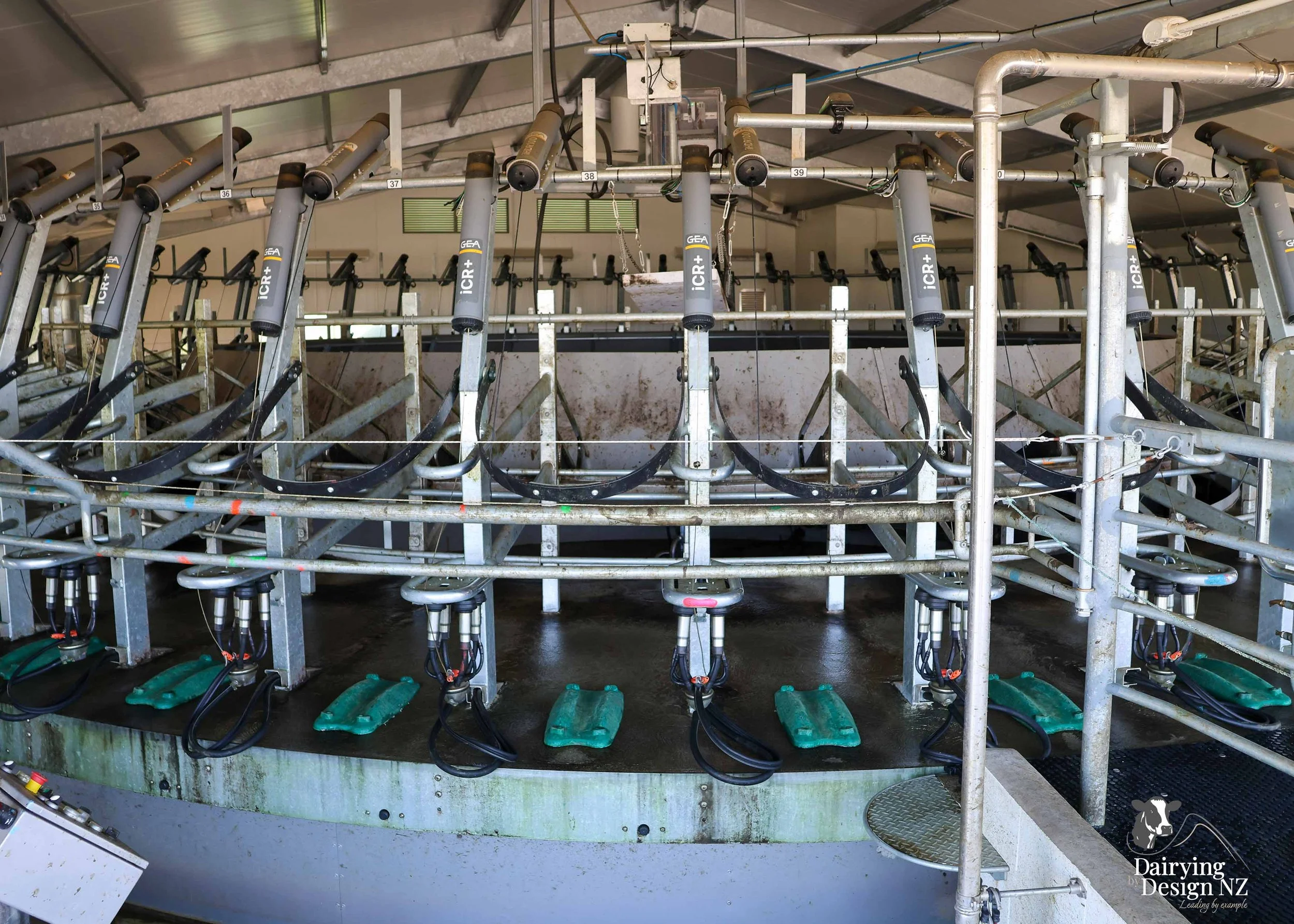  Whakatane rotary dairy shed development designed for efficient milking and cow flow built by Yates Carpentry &amp; Construction, Milking plant install by 60/40 Milking, yard work by WJ Dippie, Milking platform by Landmore Agri, Effluent storage by K
