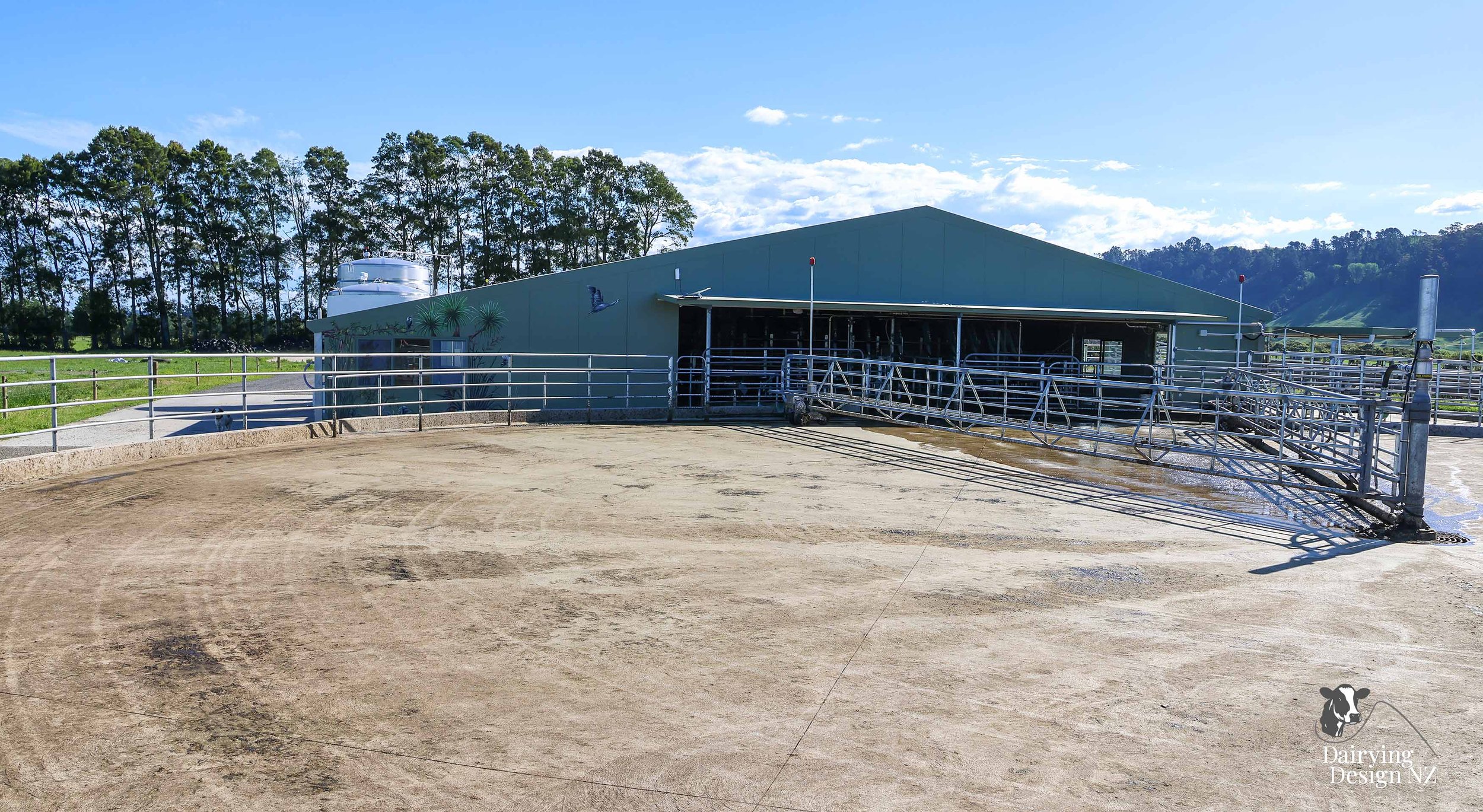  Whakatane rotary dairy shed development designed for efficient milking and cow flow built by Yates Carpentry &amp; Construction, Milking plant install by 60/40 Milking, yard work by WJ Dippie, Milking platform by Landmore Agri, Effluent storage by K