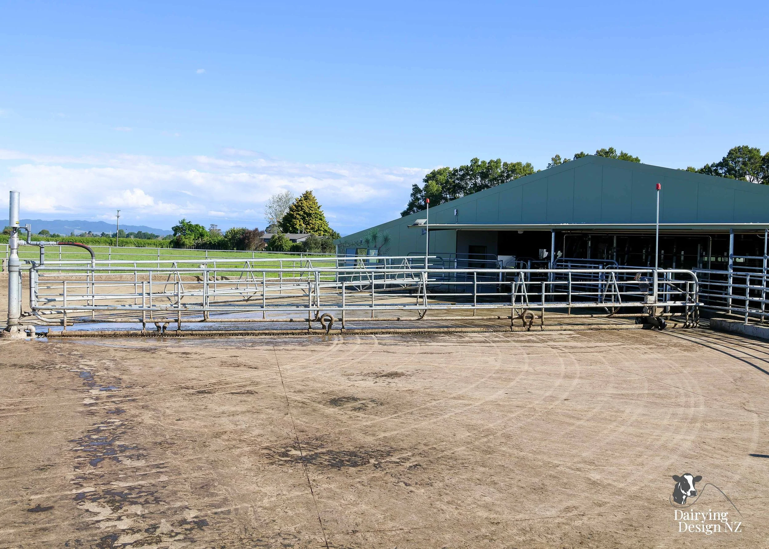  Whakatane rotary dairy shed development designed for efficient milking and cow flow built by Yates Carpentry &amp; Construction, Milking plant install by 60/40 Milking, yard work by WJ Dippie, Milking platform by Landmore Agri, Effluent storage by K