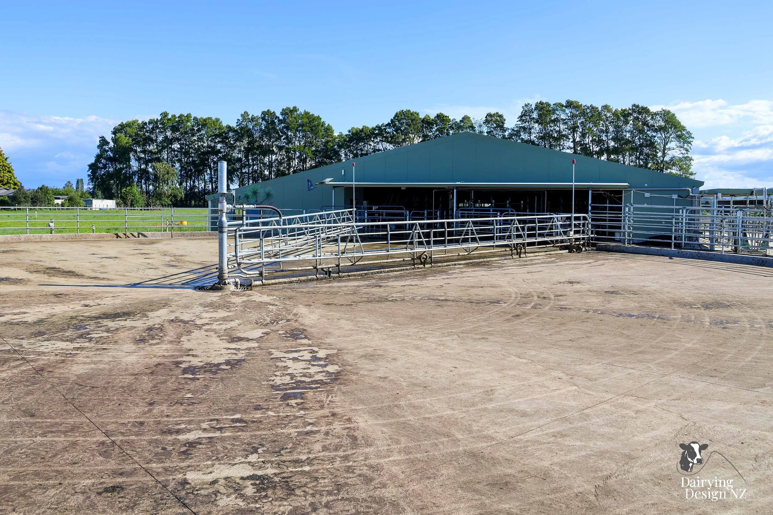  Whakatane rotary dairy shed development designed for efficient milking and cow flow built by Yates Carpentry &amp; Construction, Milking plant install by 60/40 Milking, yard work by WJ Dippie, Milking platform by Landmore Agri, Effluent storage by K