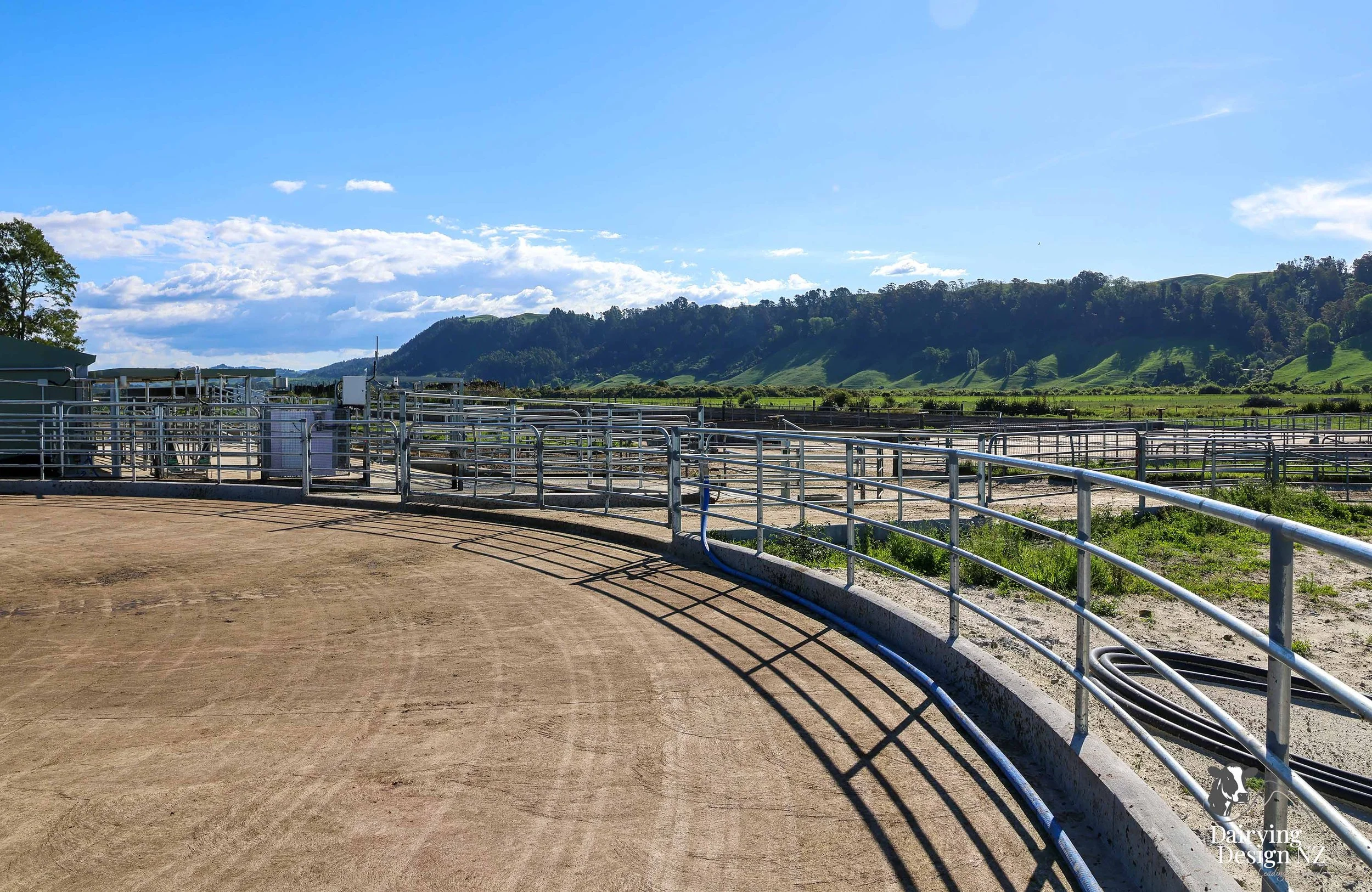  Whakatane rotary dairy shed development designed for efficient milking and cow flow built by Yates Carpentry &amp; Construction, Milking plant install by 60/40 Milking, yard work by WJ Dippie, Milking platform by Landmore Agri, Effluent storage by K