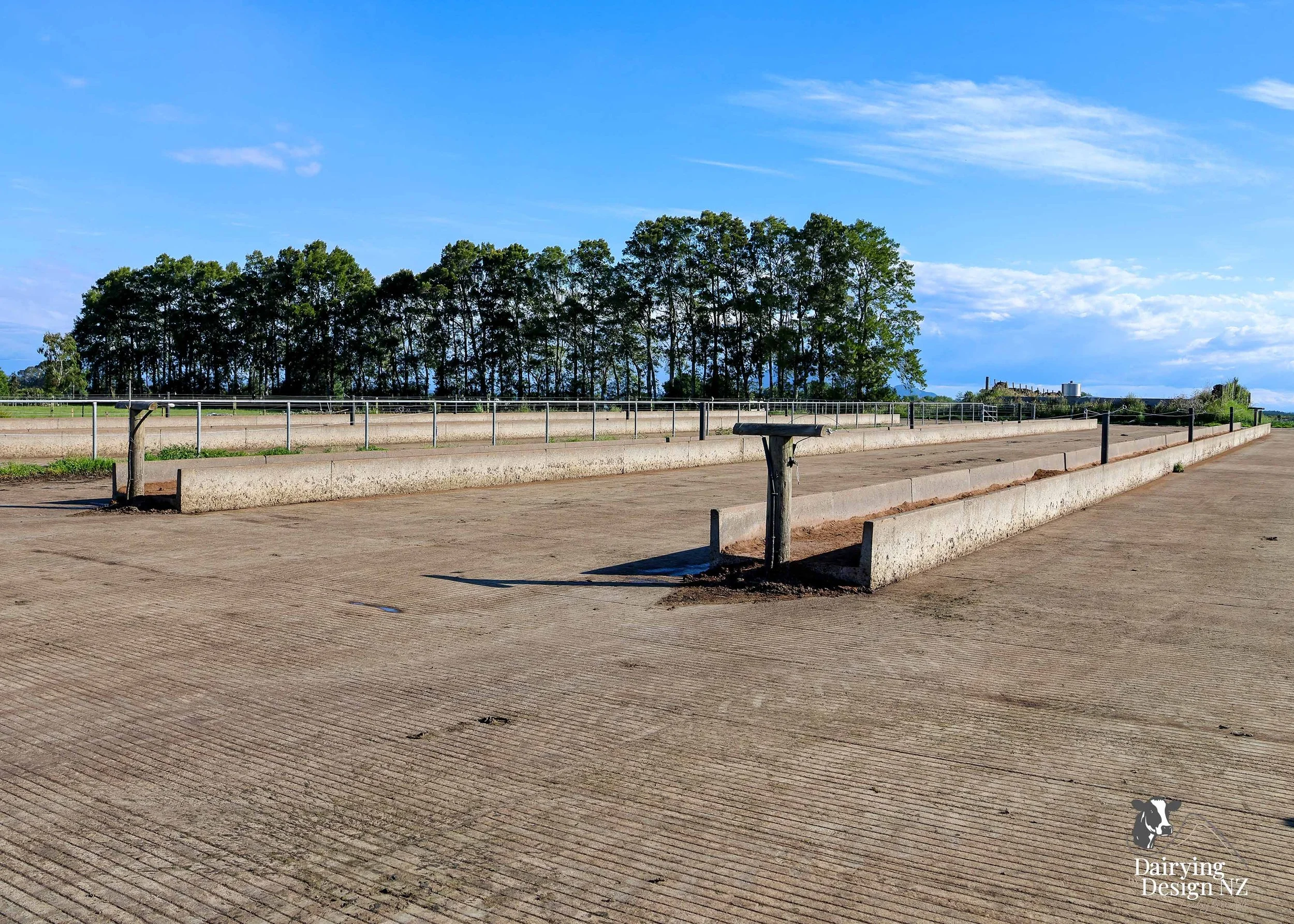  Whakatane rotary dairy shed development designed for efficient milking and cow flow built by Yates Carpentry &amp; Construction, Milking plant install by 60/40 Milking, yard work by WJ Dippie, Milking platform by Landmore Agri, Effluent storage by K