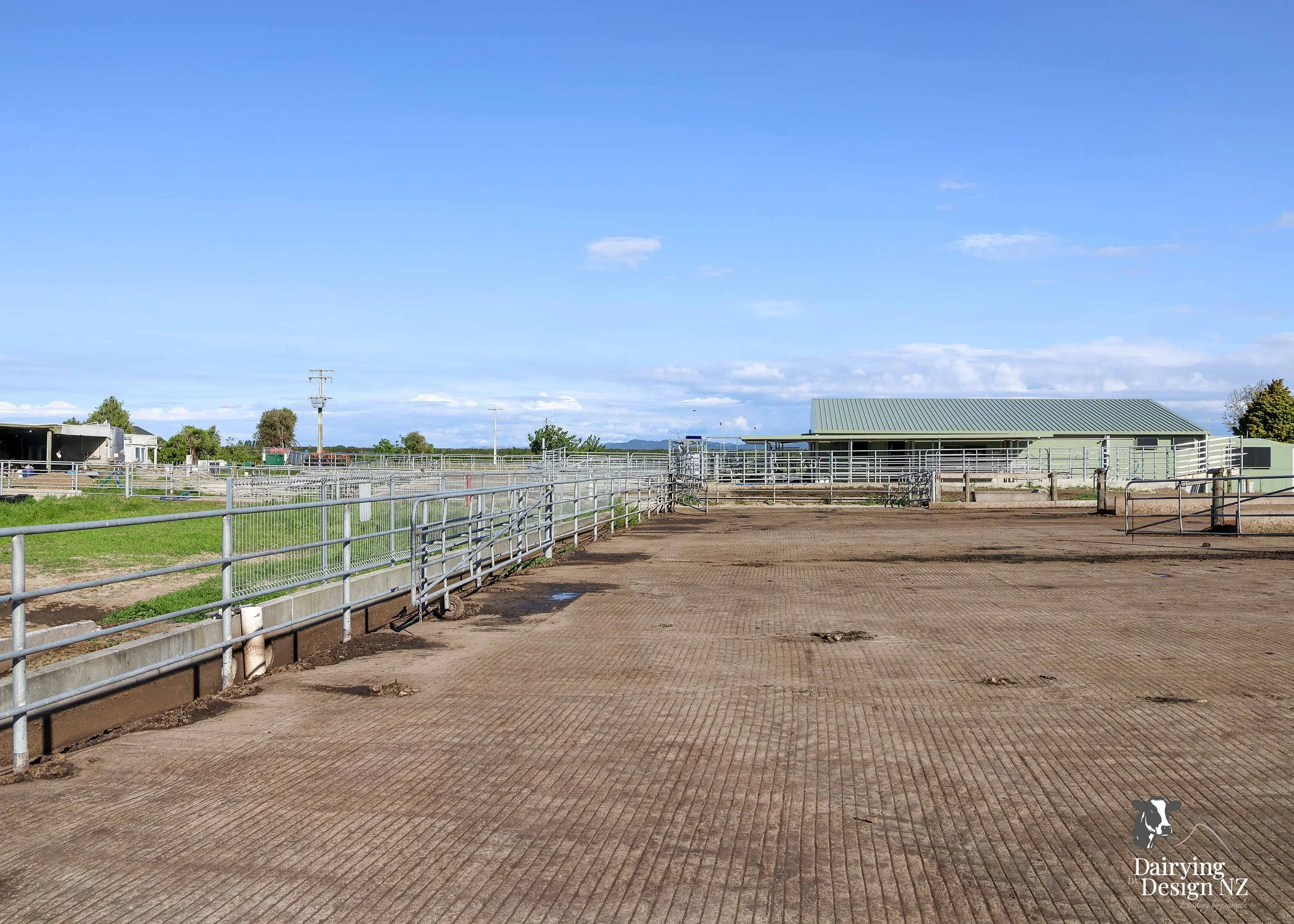  Whakatane rotary dairy shed development designed for efficient milking and cow flow built by Yates Carpentry &amp; Construction, Milking plant install by 60/40 Milking, yard work by WJ Dippie, Milking platform by Landmore Agri, Effluent storage by K