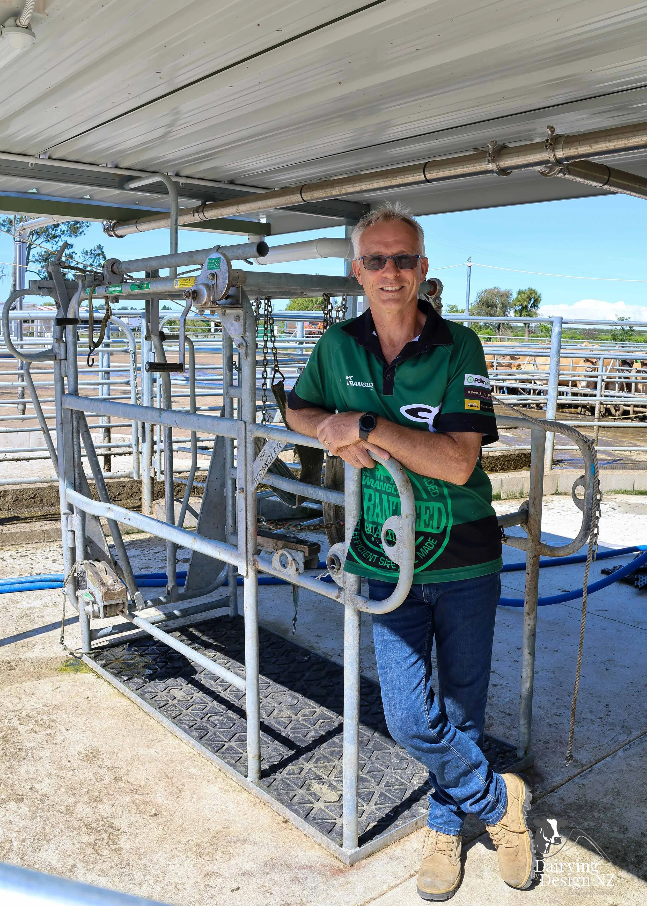  Whakatane rotary dairy shed development designed for efficient milking and cow flow built by Yates Carpentry &amp; Construction, Milking plant install by 60/40 Milking, yard work by WJ Dippie, Milking platform by Landmore Agri, Effluent storage by K
