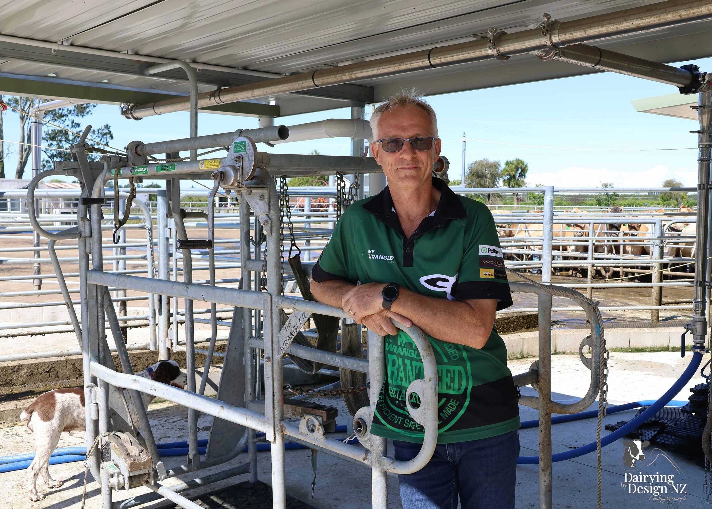  Whakatane rotary dairy shed development designed for efficient milking and cow flow built by Yates Carpentry &amp; Construction, Milking plant install by 60/40 Milking, yard work by WJ Dippie, Milking platform by Landmore Agri, Effluent storage by K