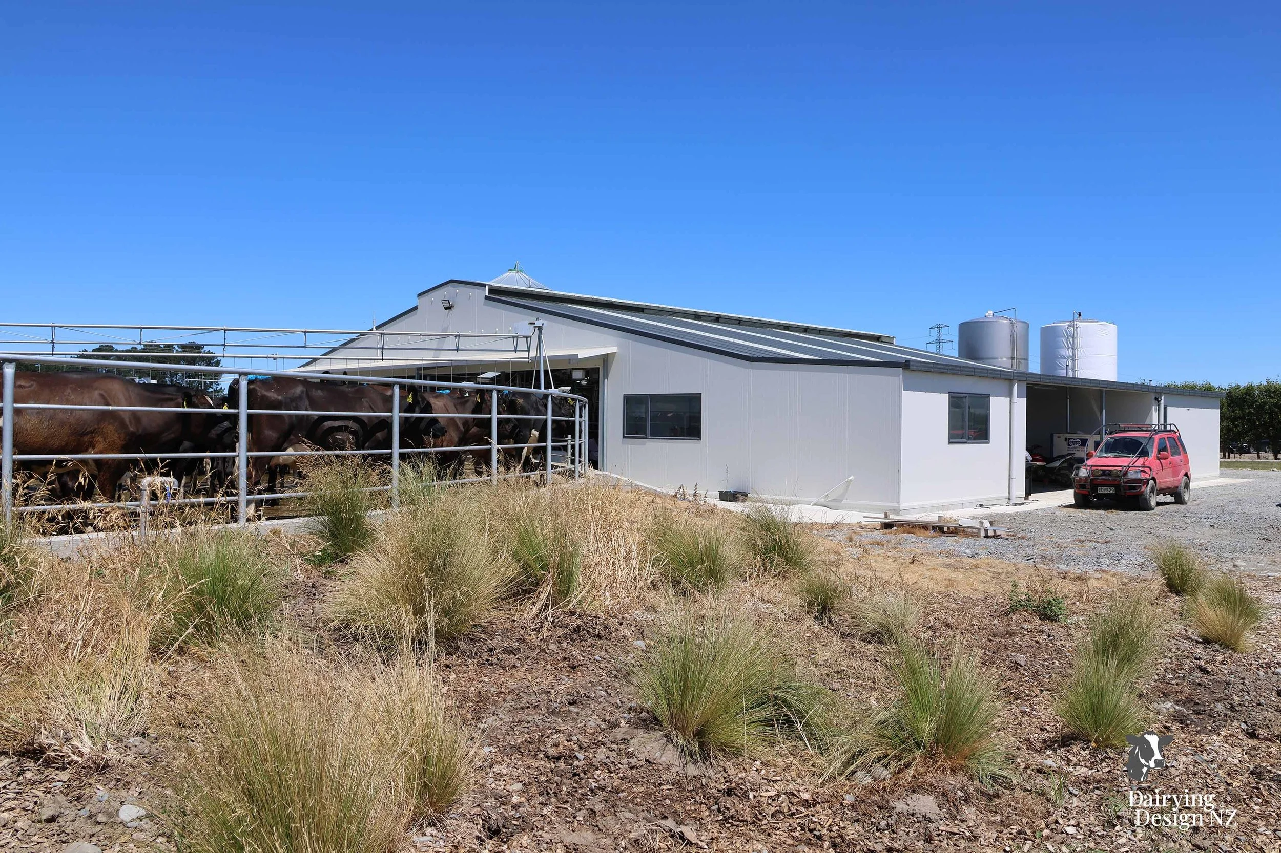  Canterbury rotary dairy shed development designed for efficient milking and cow flow built by Rural Building Solutions, featuring a Donald Engineering Rotary Platform, Earthworks by Densem Contracting 2010 Ltd, Refrigeration by Dairycool, Feed silos