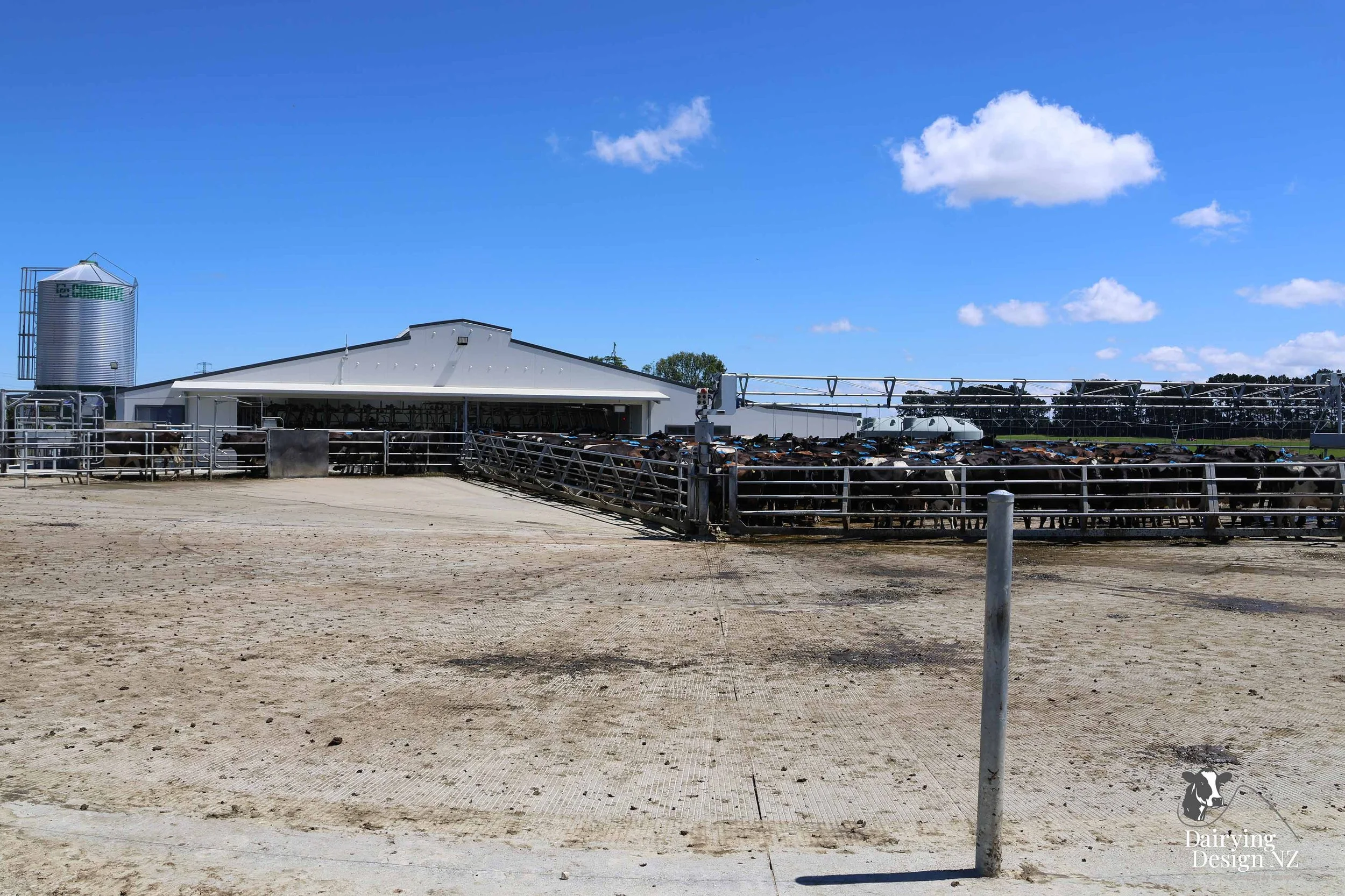  Canterbury rotary dairy shed development designed for efficient milking and cow flow built by Rural Building Solutions, featuring a Donald Engineering Rotary Platform, Earthworks by Densem Contracting 2010 Ltd, Refrigeration by Dairycool, Feed silos