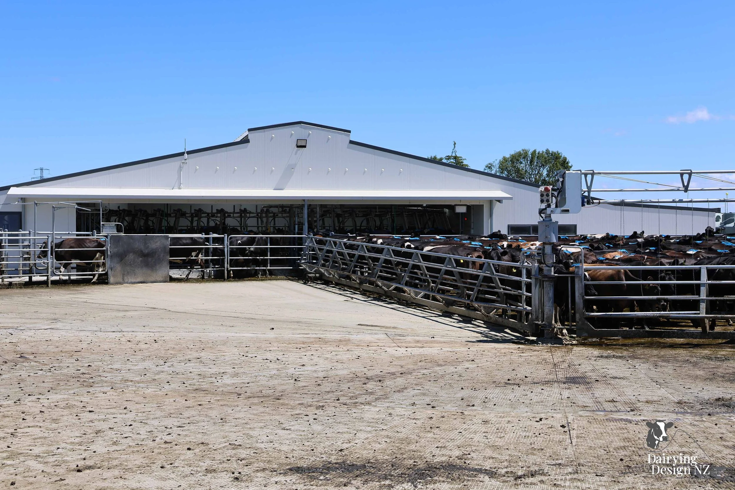  Canterbury rotary dairy shed development designed for efficient milking and cow flow built by Rural Building Solutions, featuring a Donald Engineering Rotary Platform, Earthworks by Densem Contracting 2010 Ltd, Refrigeration by Dairycool, Feed silos