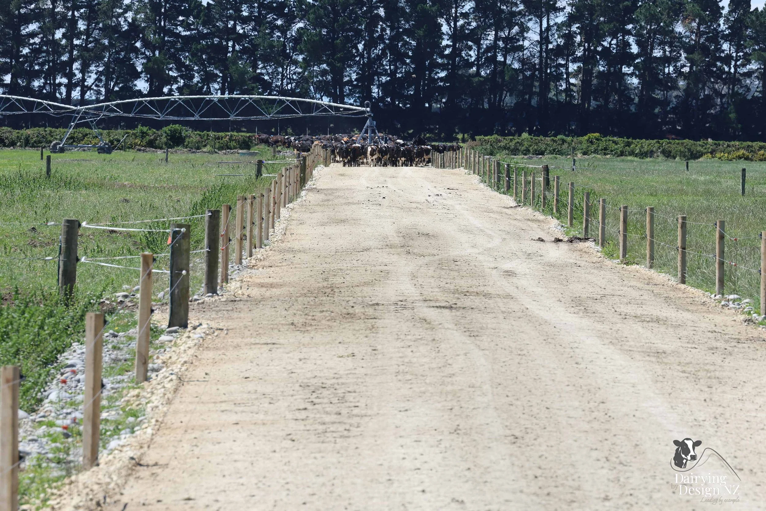 Canterbury rotary dairy shed development designed for efficient milking and cow flow built by Rural Building Solutions, featuring a Donald Engineering Rotary Platform, Earthworks by Densem Contracting 2010 Ltd, Refrigeration by Dairycool, Feed silos