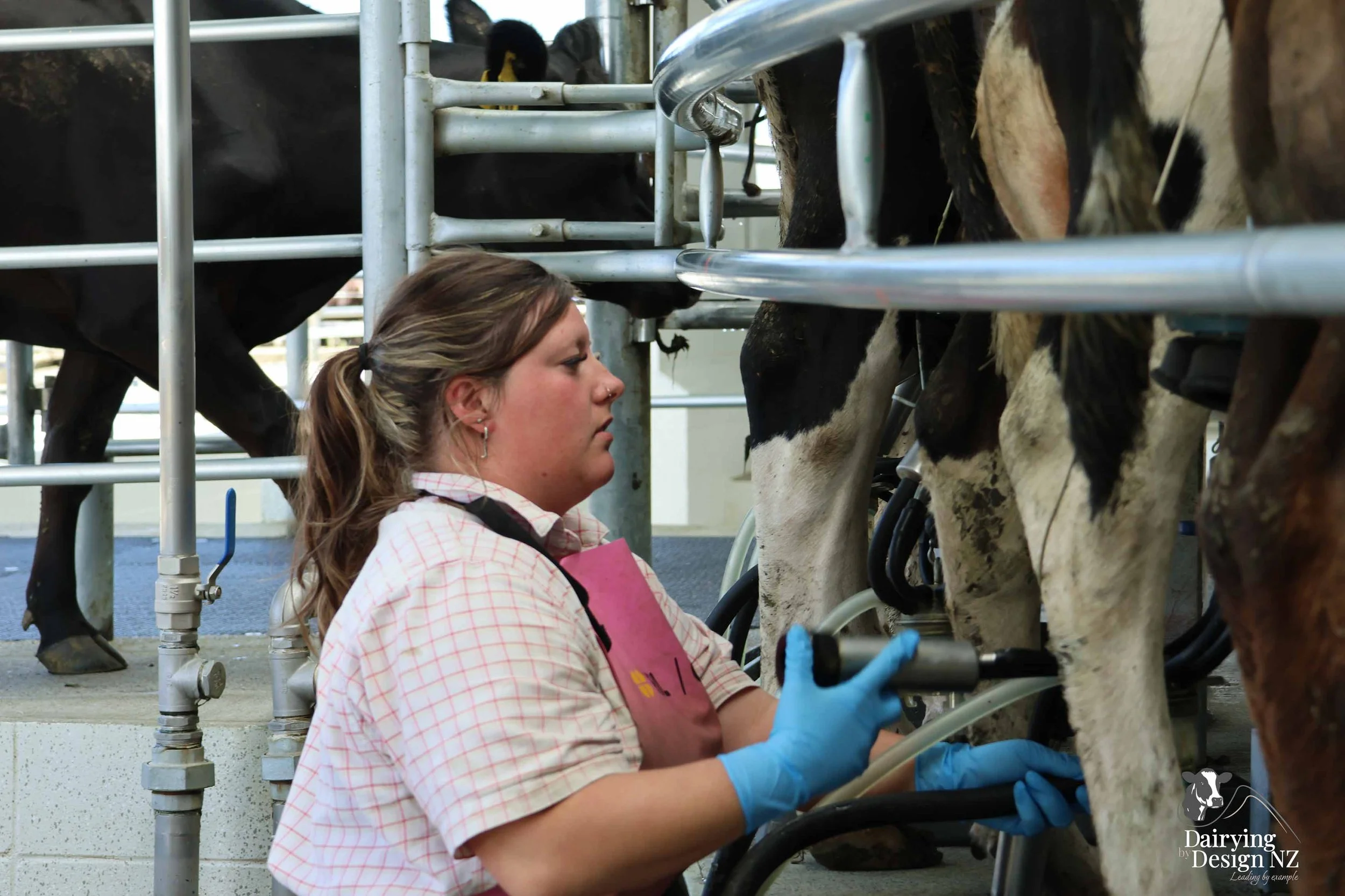  Canterbury rotary dairy shed development designed for efficient milking and cow flow built by Rural Building Solutions, featuring a Donald Engineering Rotary Platform, Earthworks by Densem Contracting 2010 Ltd, Refrigeration by Dairycool, Feed silos