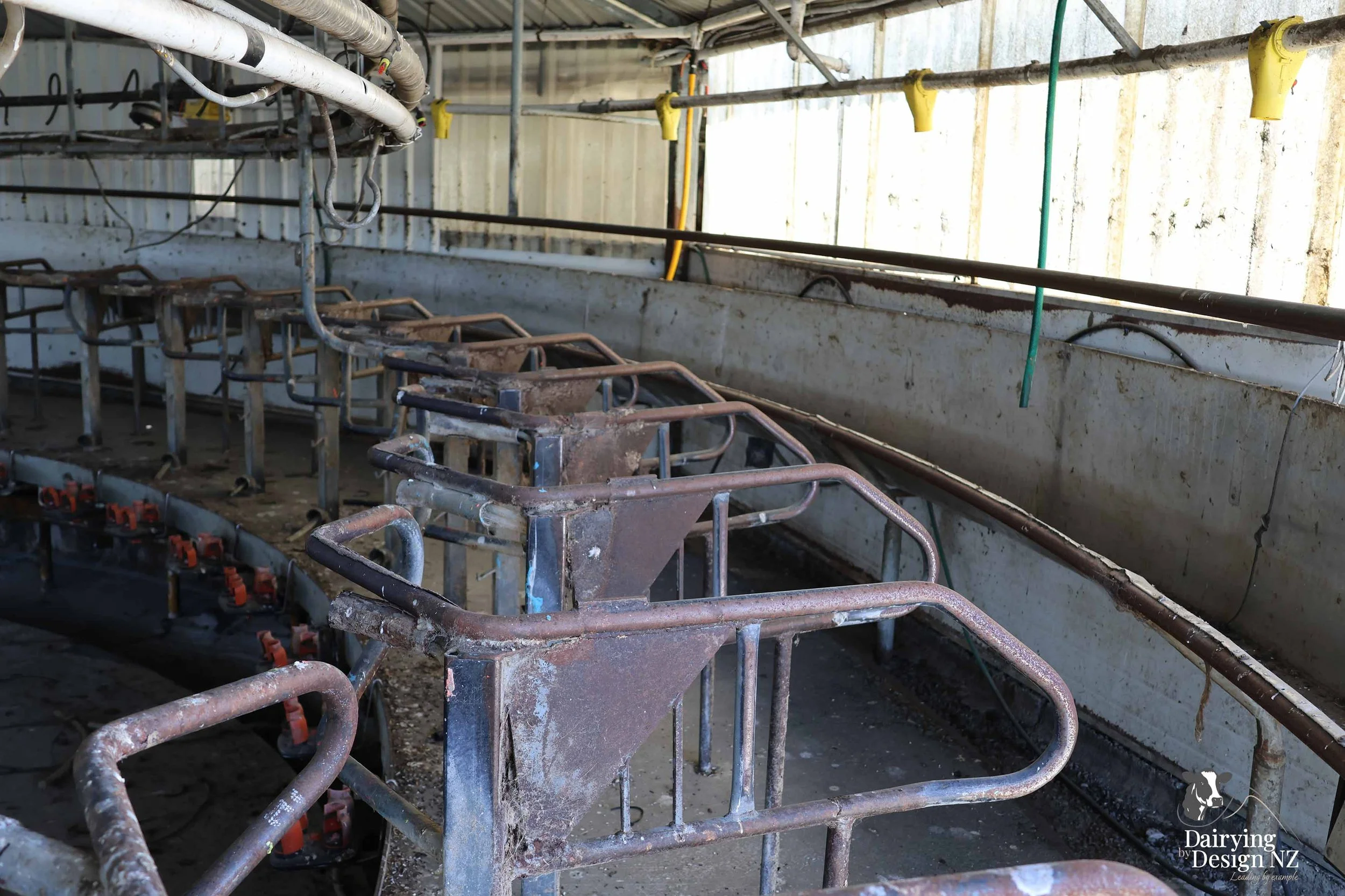  Canterbury rotary dairy shed development designed for efficient milking and cow flow built by Rural Building Solutions, featuring a Donald Engineering Rotary Platform, Earthworks by Densem Contracting 2010 Ltd, Refrigeration by Dairycool, Feed silos