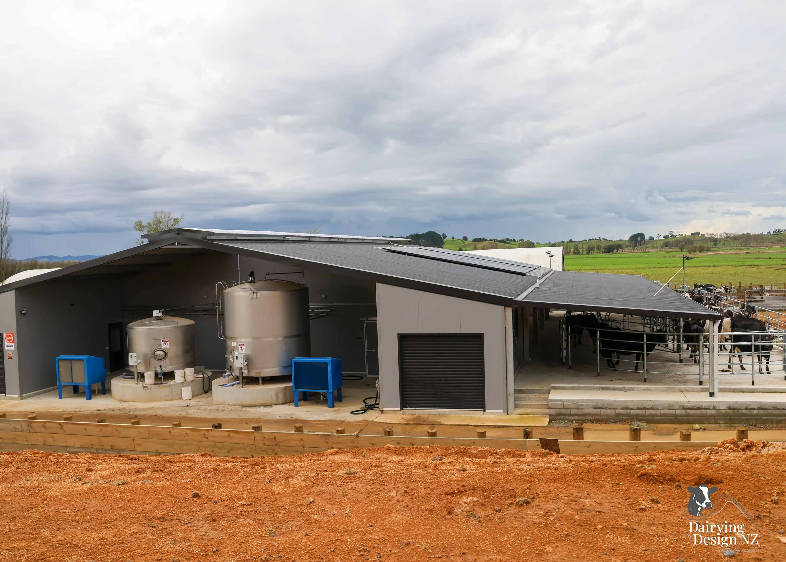  Waikato rotary dairy shed development designed for efficient milking and cow flow built by Don Chapman Waikato Ltd, featuring a Moa Rotary Platform, yard work by Leask Engineering, electrical work by Phase Electrical, project for Graham Preest. 