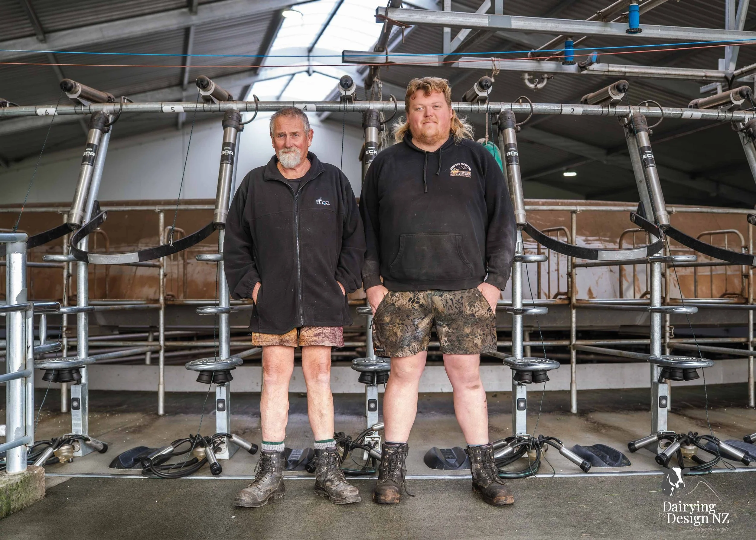  Waikato rotary dairy shed development designed for efficient milking and cow flow built by Don Chapman Waikato Ltd, featuring a Moa Rotary Platform, yard work by Leask Engineering, electrical work by Phase Electrical, project for Graham Preest. 