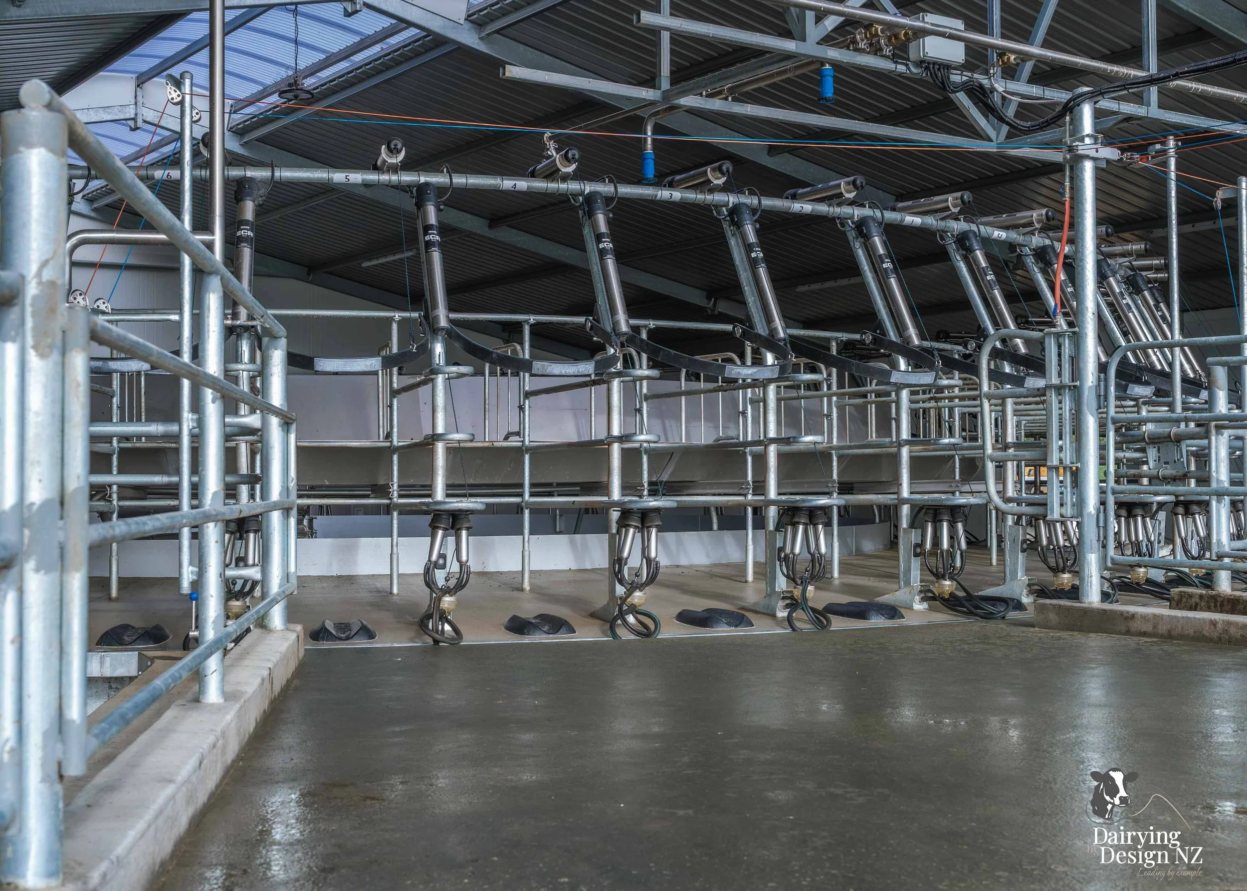  Waikato rotary dairy shed development designed for efficient milking and cow flow built by Don Chapman Waikato Ltd, featuring a Moa Rotary Platform, yard work by Leask Engineering, electrical work by Phase Electrical, project for Graham Preest. 