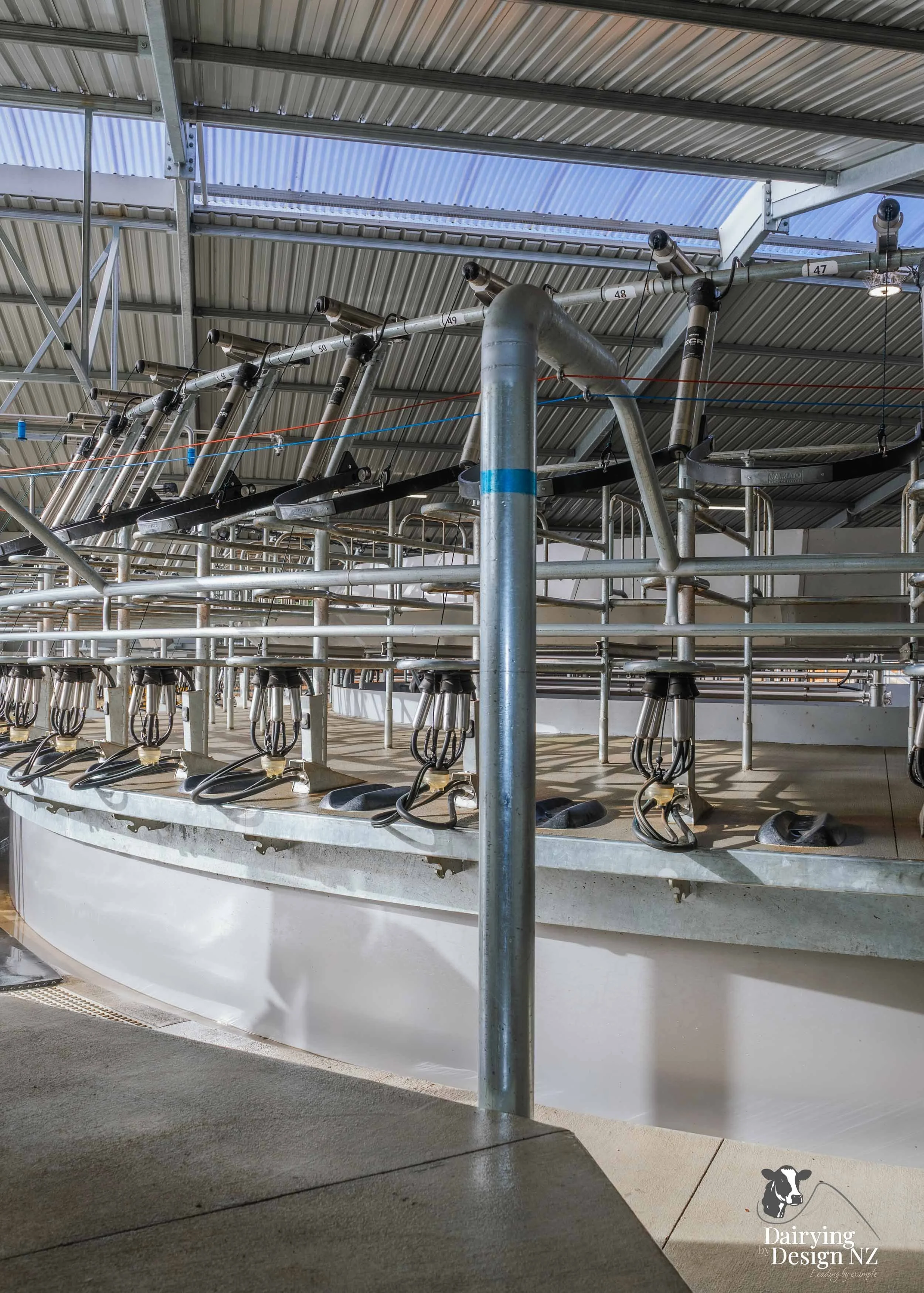 Waikato rotary dairy shed development designed for efficient milking and cow flow built by Don Chapman Waikato Ltd, featuring a Moa Rotary Platform, yard work by Leask Engineering, electrical work by Phase Electrical, project for Graham Preest. 