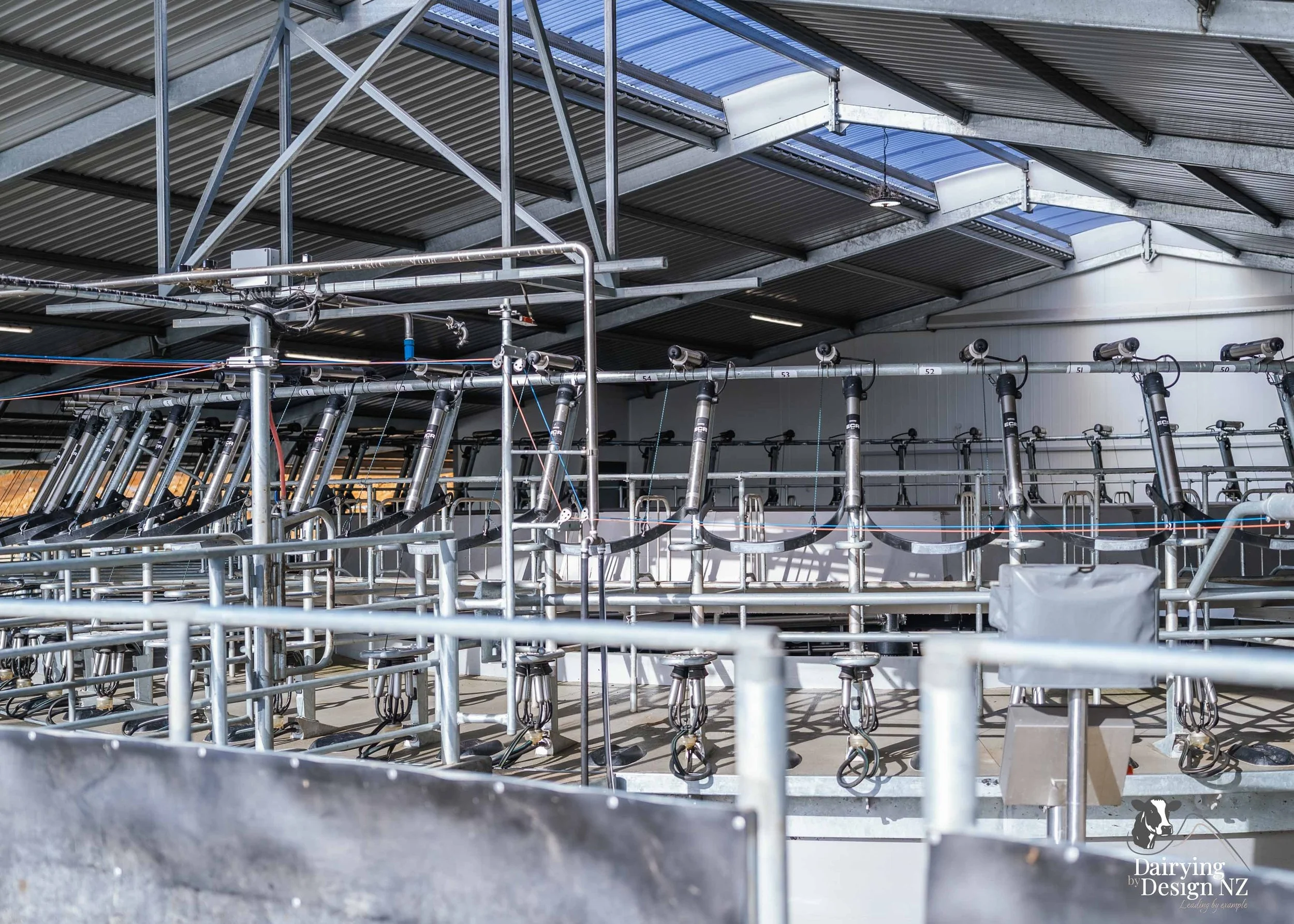  Waikato rotary dairy shed development designed for efficient milking and cow flow built by Don Chapman Waikato Ltd, featuring a Moa Rotary Platform, yard work by Leask Engineering, electrical work by Phase Electrical, project for Graham Preest. 