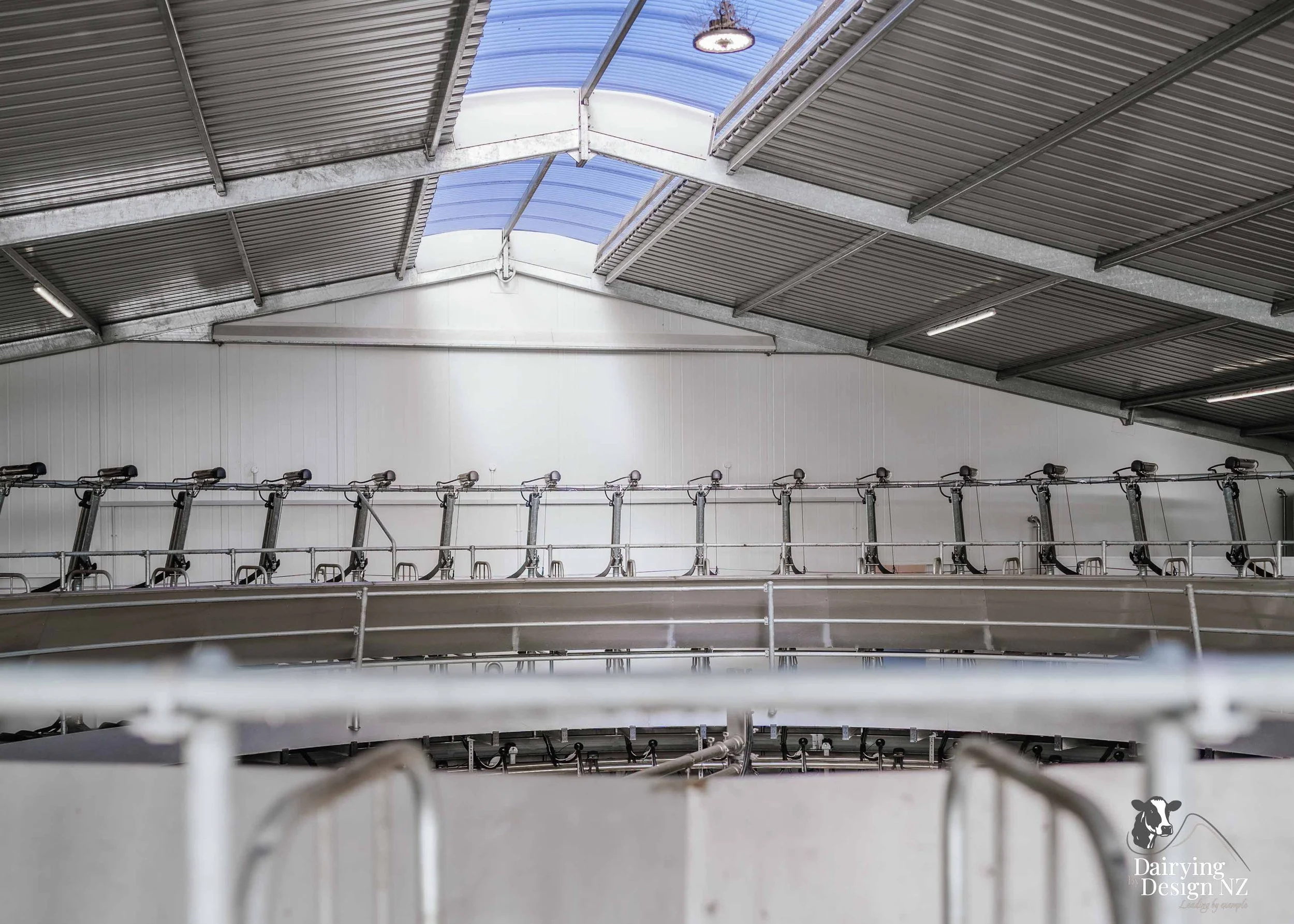  Waikato rotary dairy shed development designed for efficient milking and cow flow built by Don Chapman Waikato Ltd, featuring a Moa Rotary Platform, yard work by Leask Engineering, electrical work by Phase Electrical, project for Graham Preest. 
