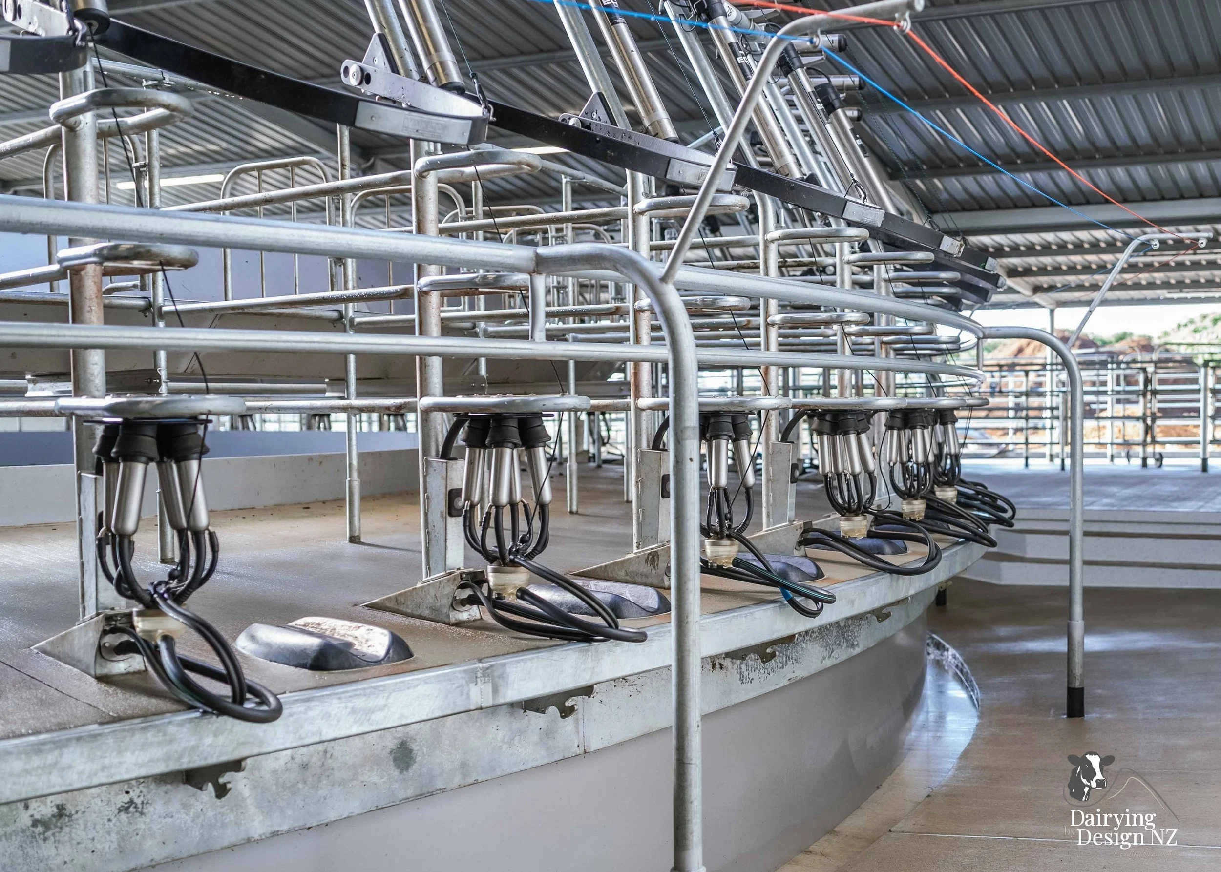  Waikato rotary dairy shed development designed for efficient milking and cow flow built by Don Chapman Waikato Ltd, featuring a Moa Rotary Platform, yard work by Leask Engineering, electrical work by Phase Electrical, project for Graham Preest. 
