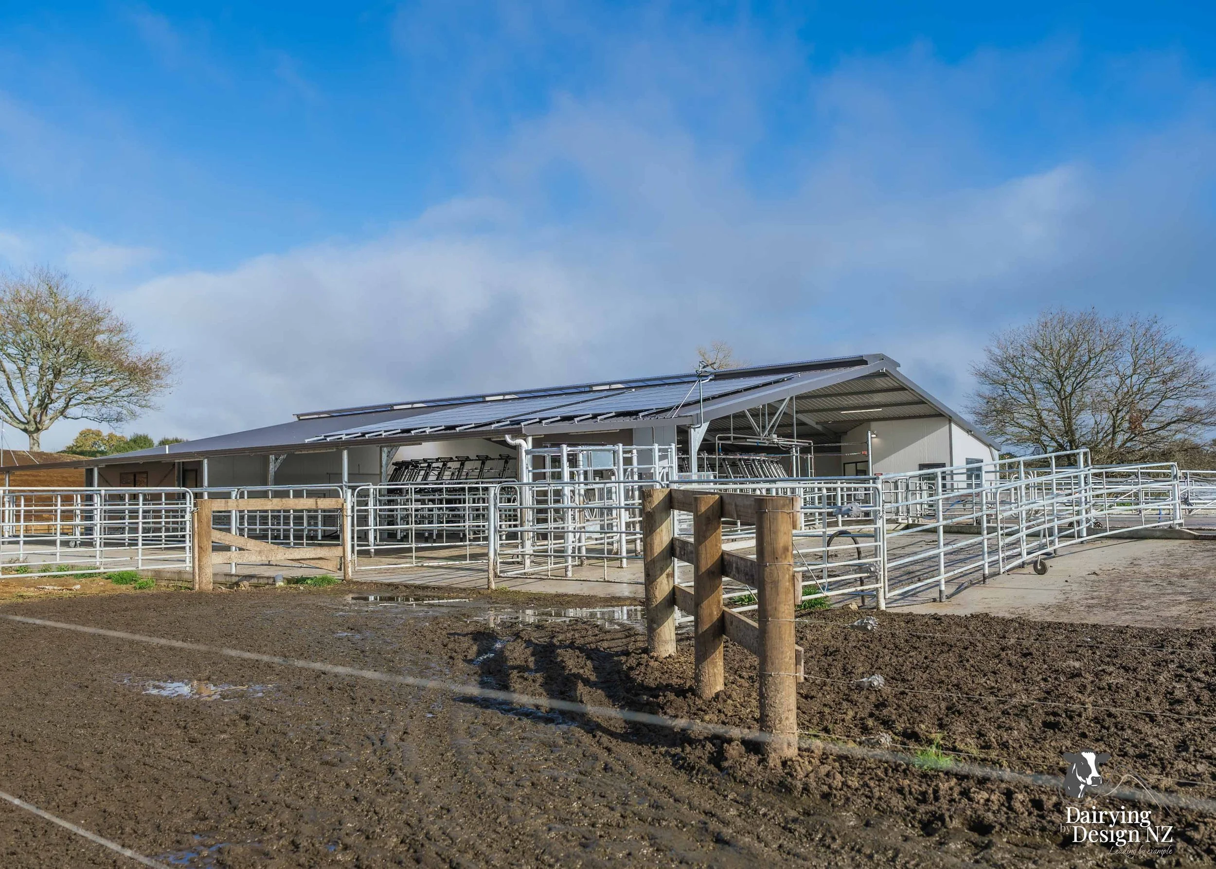  Waikato rotary dairy shed development designed for efficient milking and cow flow built by Don Chapman Waikato Ltd, featuring a Moa Rotary Platform, yard work by Leask Engineering, electrical work by Phase Electrical, project for Graham Preest. 