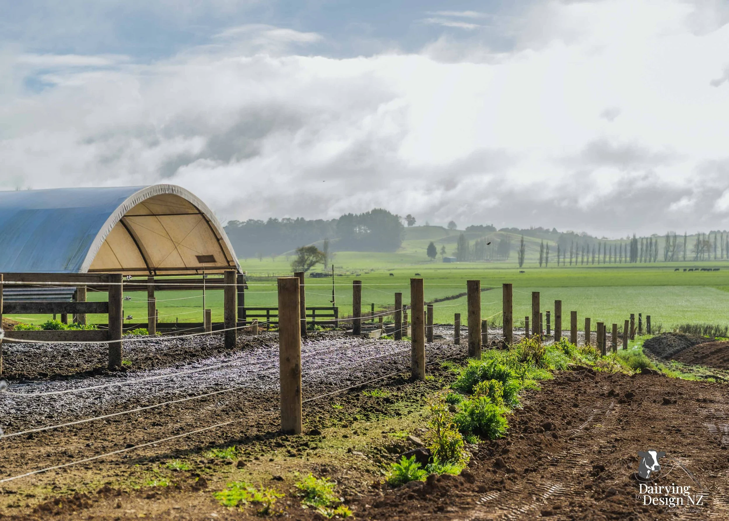  Waikato rotary dairy shed development designed for efficient milking and cow flow built by Don Chapman Waikato Ltd, featuring a Moa Rotary Platform, yard work by Leask Engineering, electrical work by Phase Electrical, project for Graham Preest. 