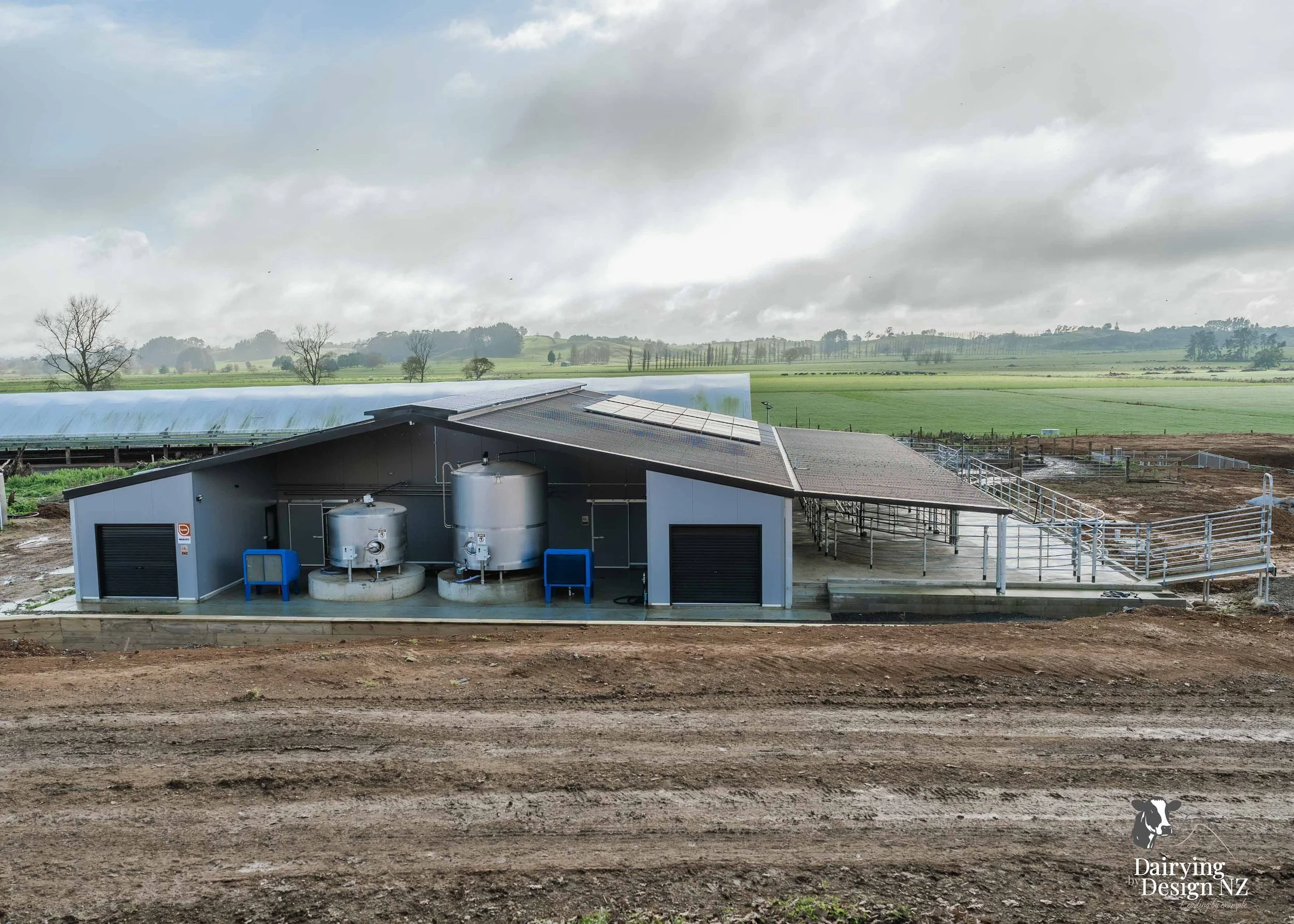  Waikato rotary dairy shed development designed for efficient milking and cow flow built by Don Chapman Waikato Ltd, featuring a Moa Rotary Platform, yard work by Leask Engineering, electrical work by Phase Electrical, project for Graham Preest. 
