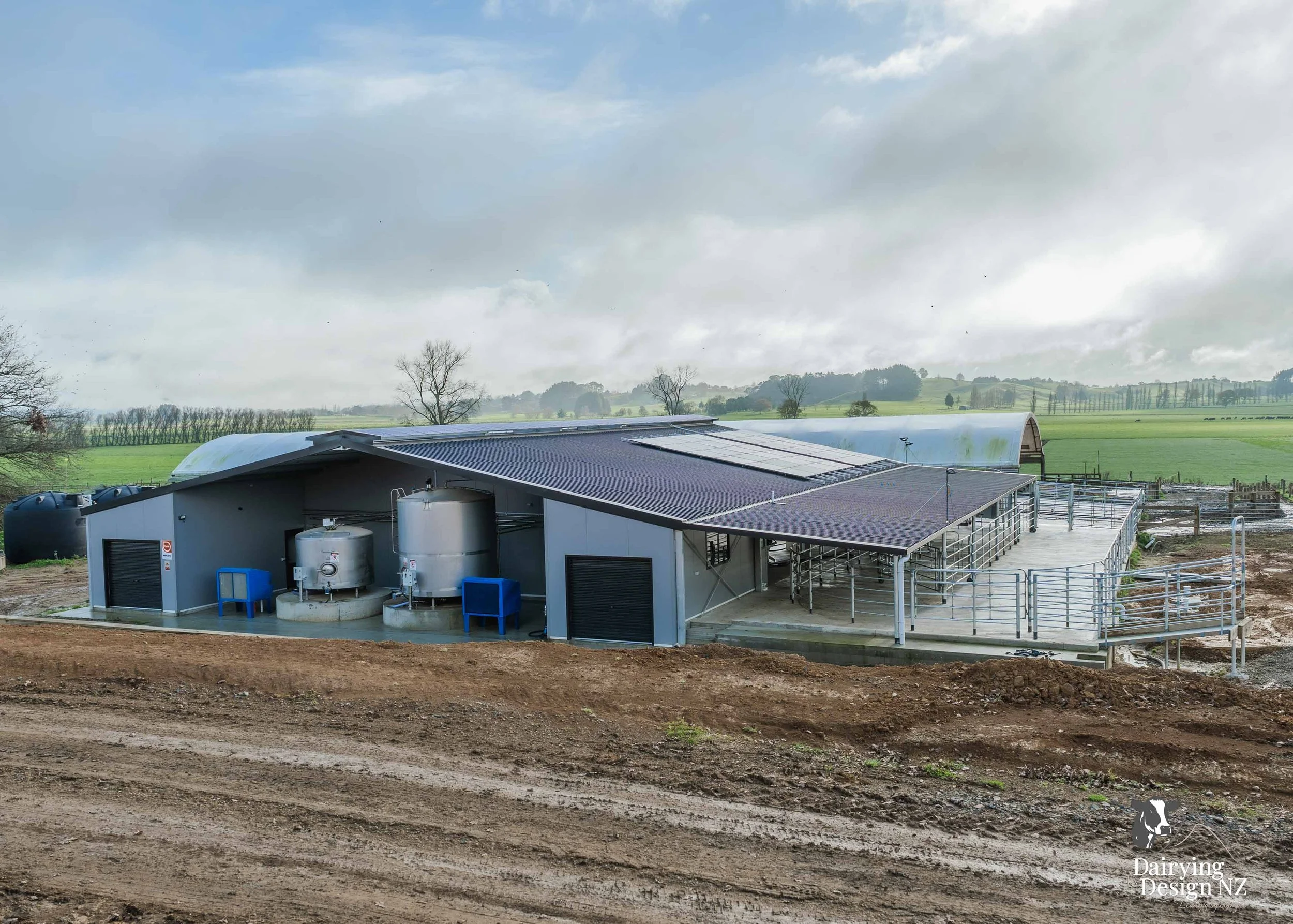  Waikato rotary dairy shed development designed for efficient milking and cow flow built by Don Chapman Waikato Ltd, featuring a Moa Rotary Platform, yard work by Leask Engineering, electrical work by Phase Electrical, project for Graham Preest. 