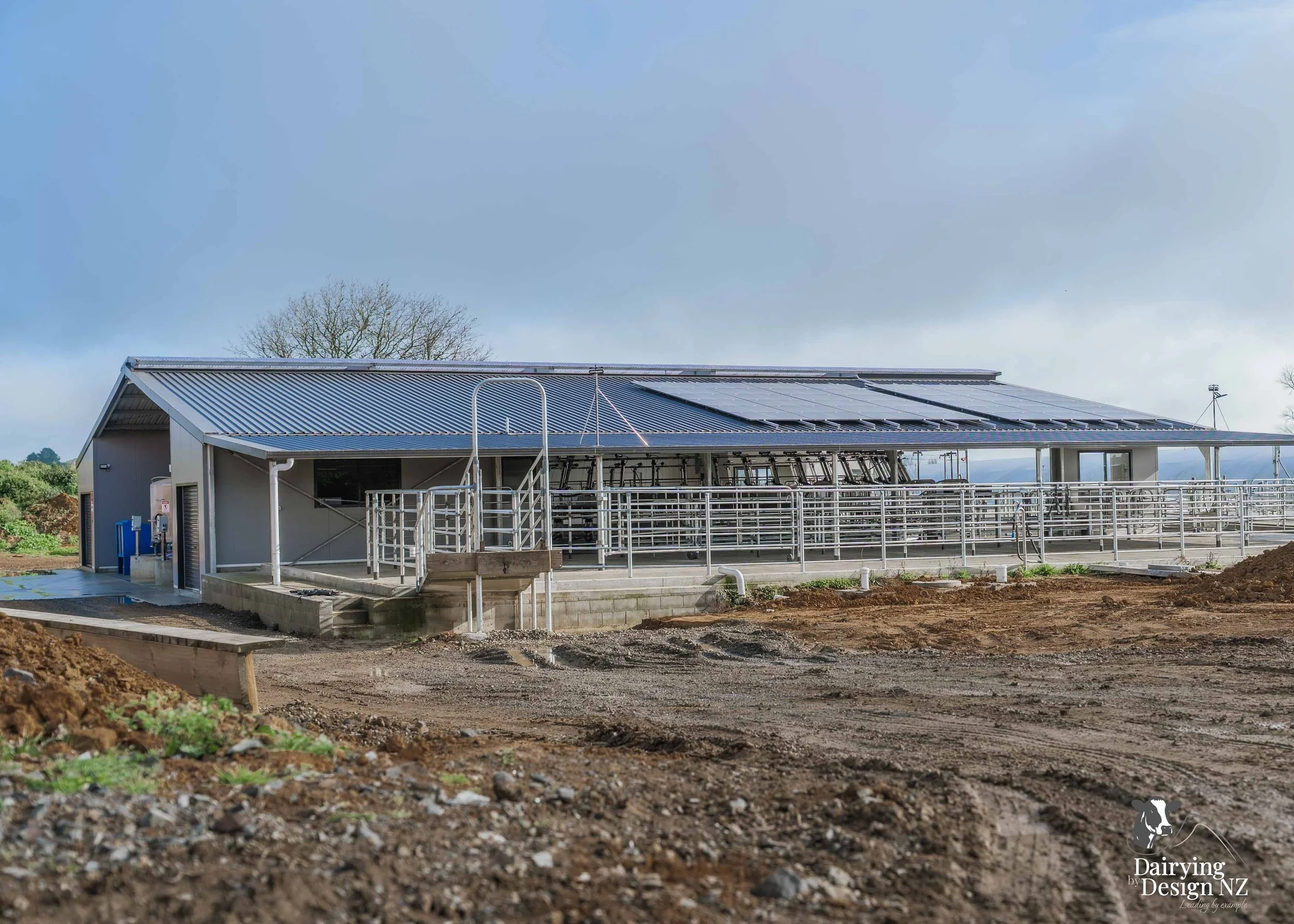  Waikato rotary dairy shed development designed for efficient milking and cow flow built by Don Chapman Waikato Ltd, featuring a Moa Rotary Platform, yard work by Leask Engineering, electrical work by Phase Electrical, project for Graham Preest. 