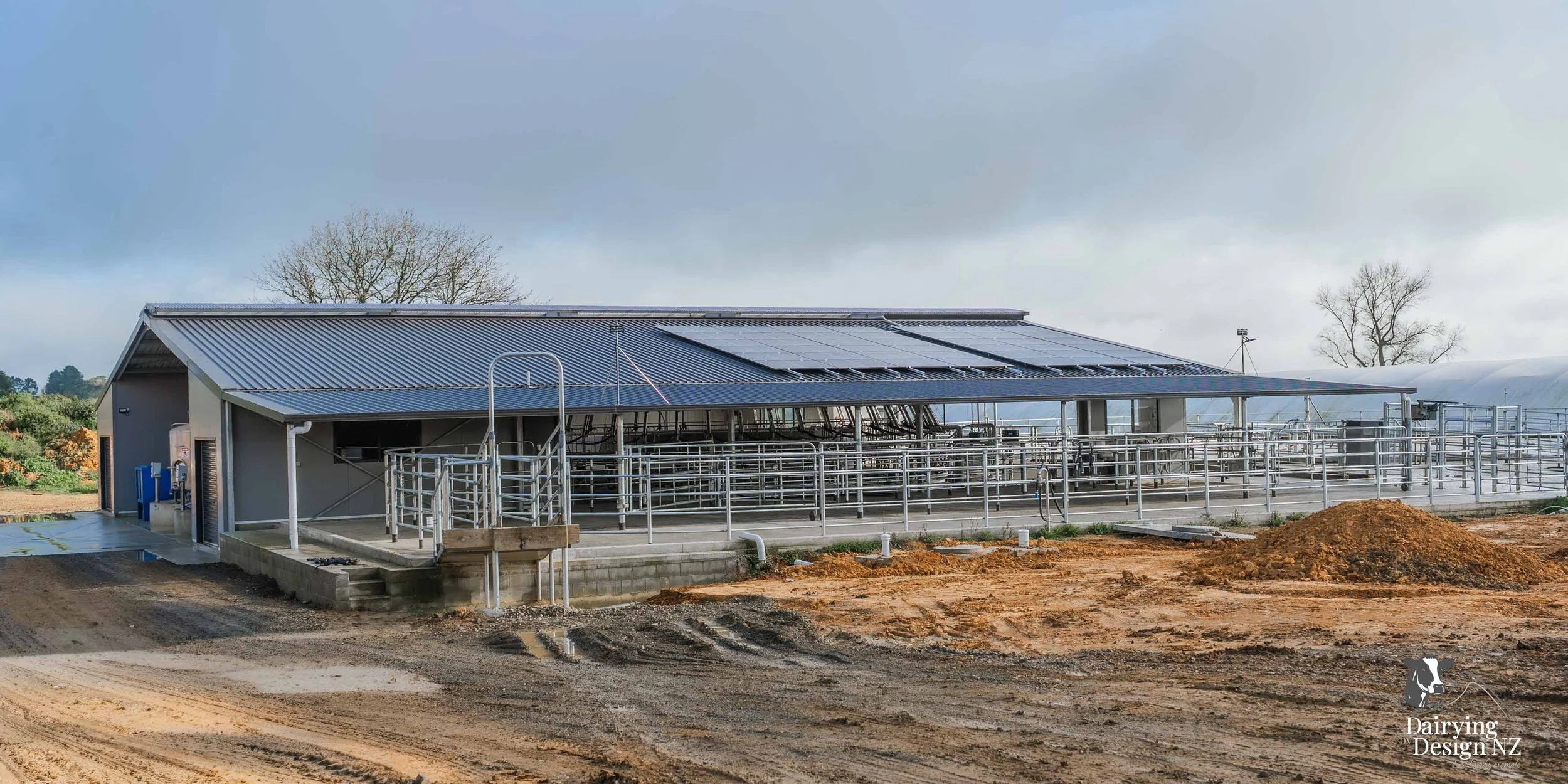  Waikato rotary dairy shed development designed for efficient milking and cow flow built by Don Chapman Waikato Ltd, featuring a Moa Rotary Platform, yard work by Leask Engineering, electrical work by Phase Electrical, project for Graham Preest. 