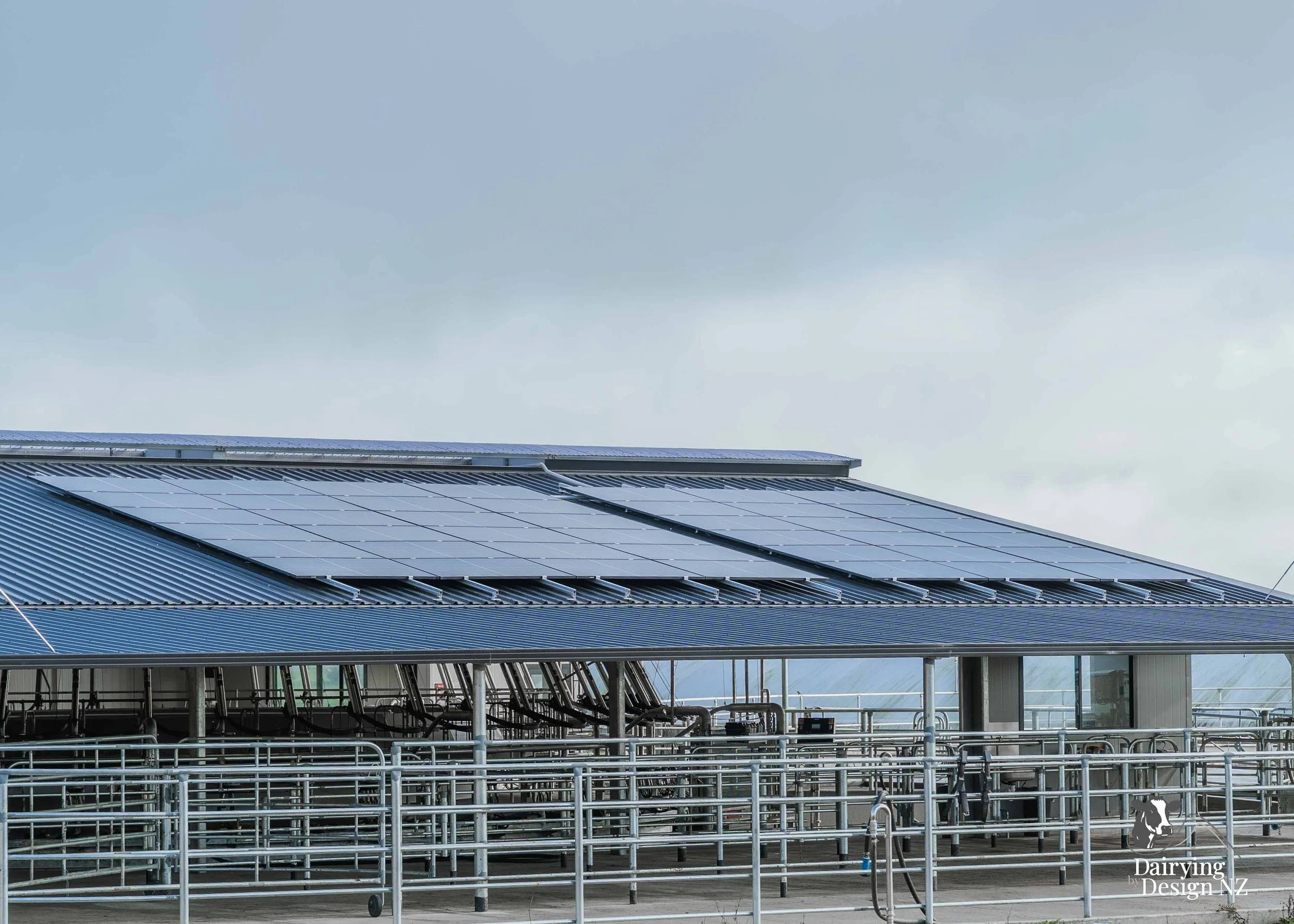  Waikato rotary dairy shed development designed for efficient milking and cow flow built by Don Chapman Waikato Ltd, featuring a Moa Rotary Platform, yard work by Leask Engineering, electrical work by Phase Electrical, project for Graham Preest. 