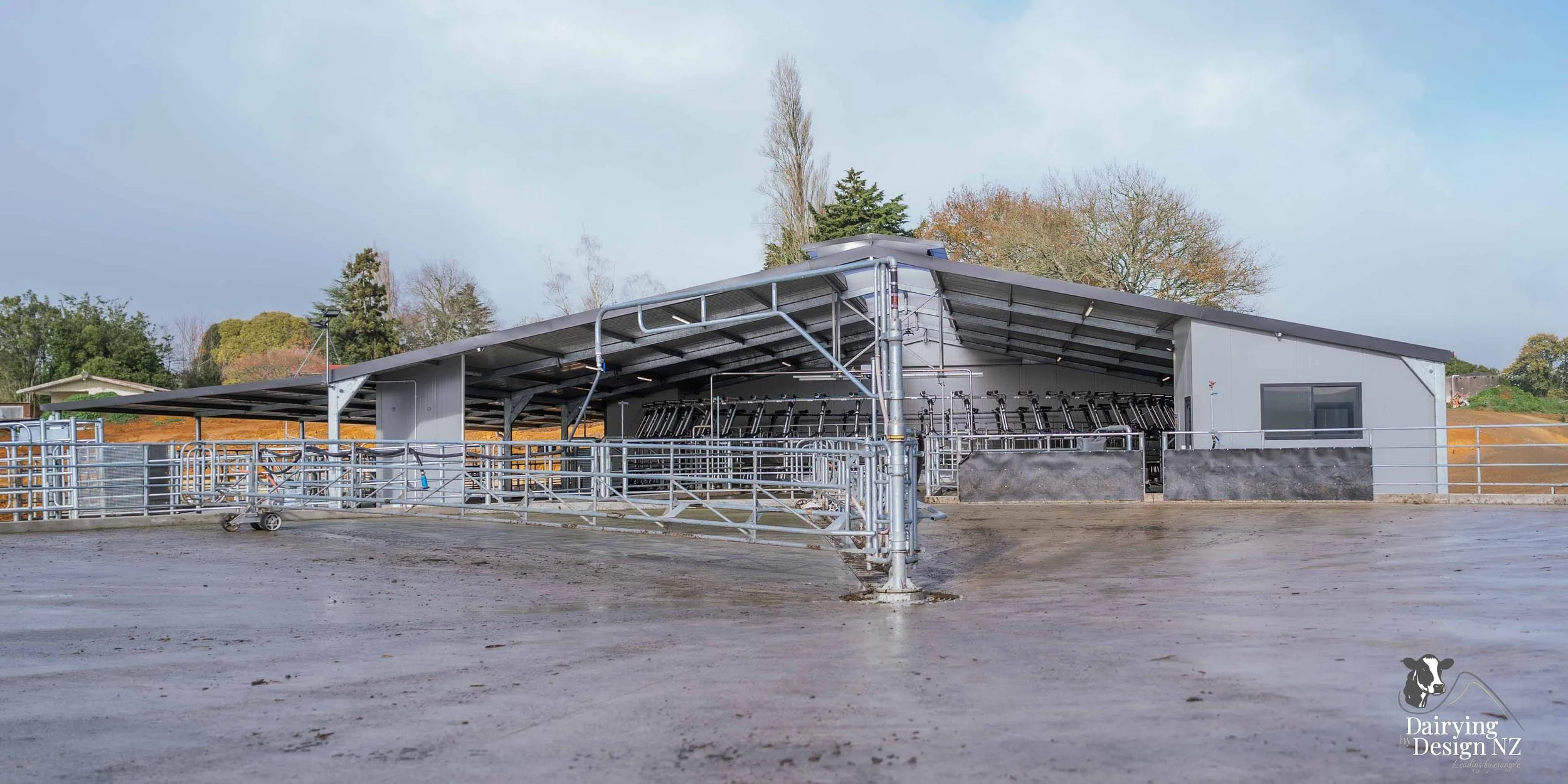  Waikato rotary dairy shed development designed for efficient milking and cow flow built by Don Chapman Waikato Ltd, featuring a Moa Rotary Platform, yard work by Leask Engineering, electrical work by Phase Electrical, project for Graham Preest. 