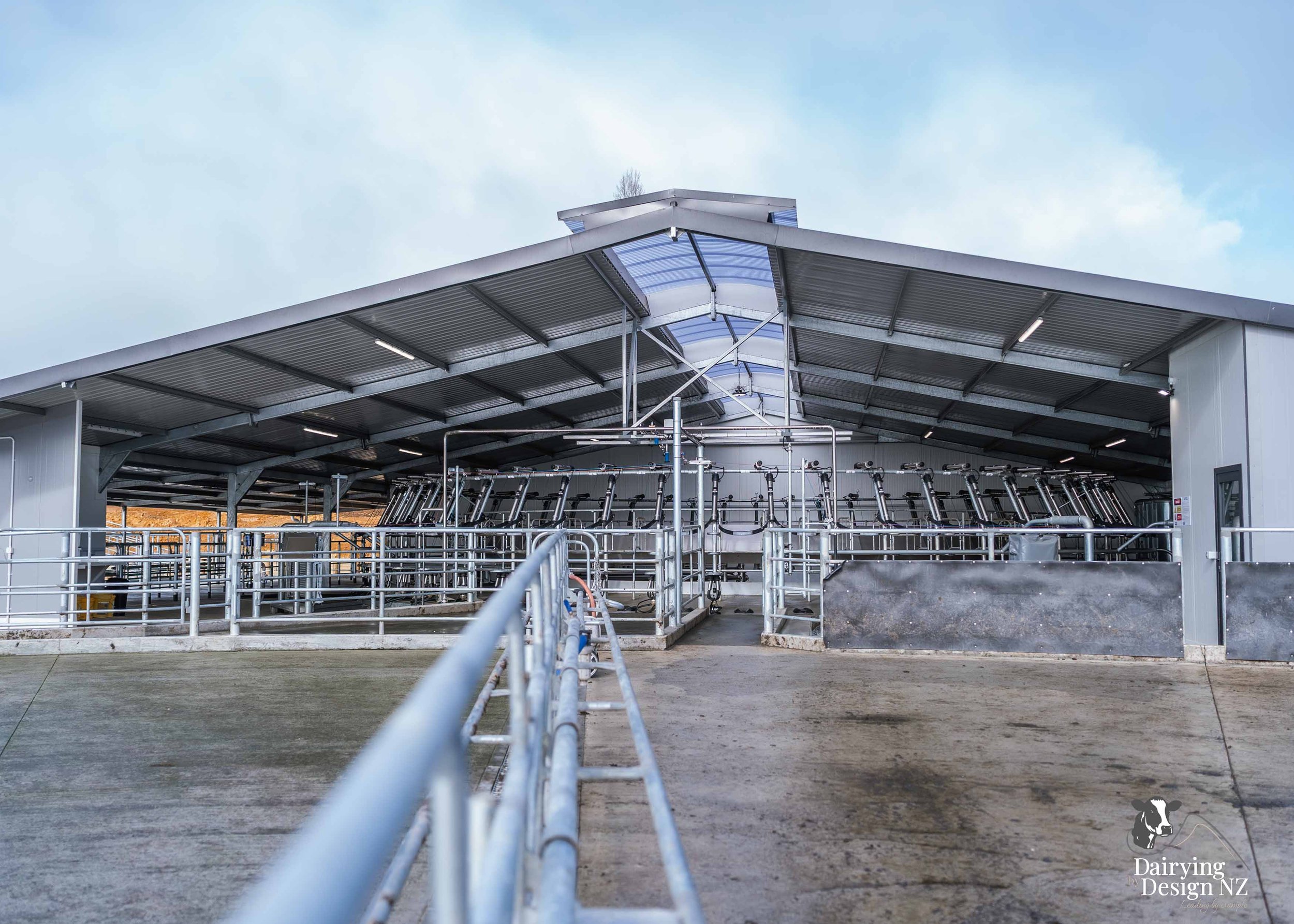  Waikato rotary dairy shed development designed for efficient milking and cow flow built by Don Chapman Waikato Ltd, featuring a Moa Rotary Platform, yard work by Leask Engineering, electrical work by Phase Electrical, project for Graham Preest. 