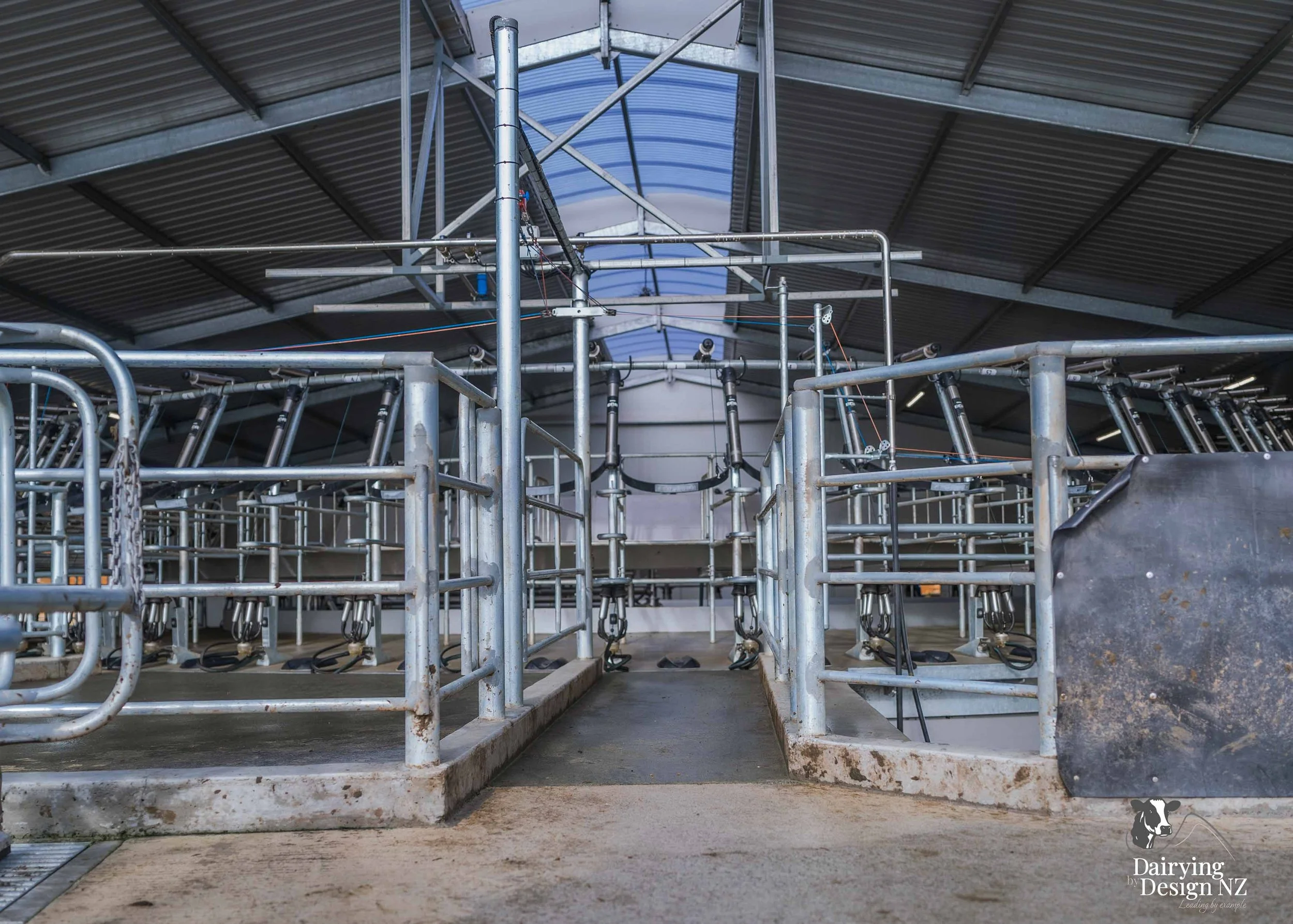 Waikato rotary dairy shed development designed for efficient milking and cow flow built by Don Chapman Waikato Ltd, featuring a Moa Rotary Platform, yard work by Leask Engineering, electrical work by Phase Electrical, project for Graham Preest. 