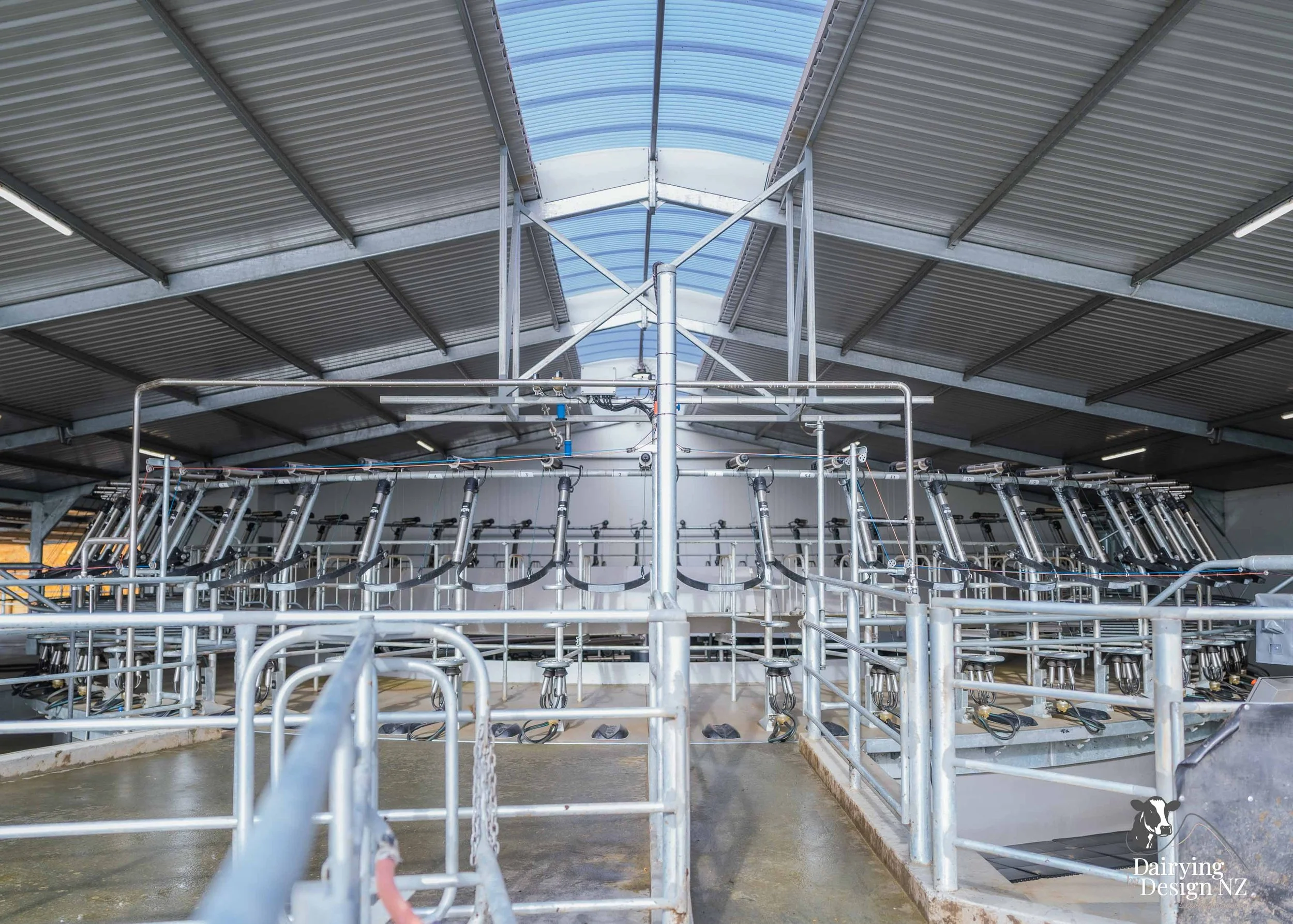  Waikato rotary dairy shed development designed for efficient milking and cow flow built by Don Chapman Waikato Ltd, featuring a Moa Rotary Platform, yard work by Leask Engineering, electrical work by Phase Electrical, project for Graham Preest. 
