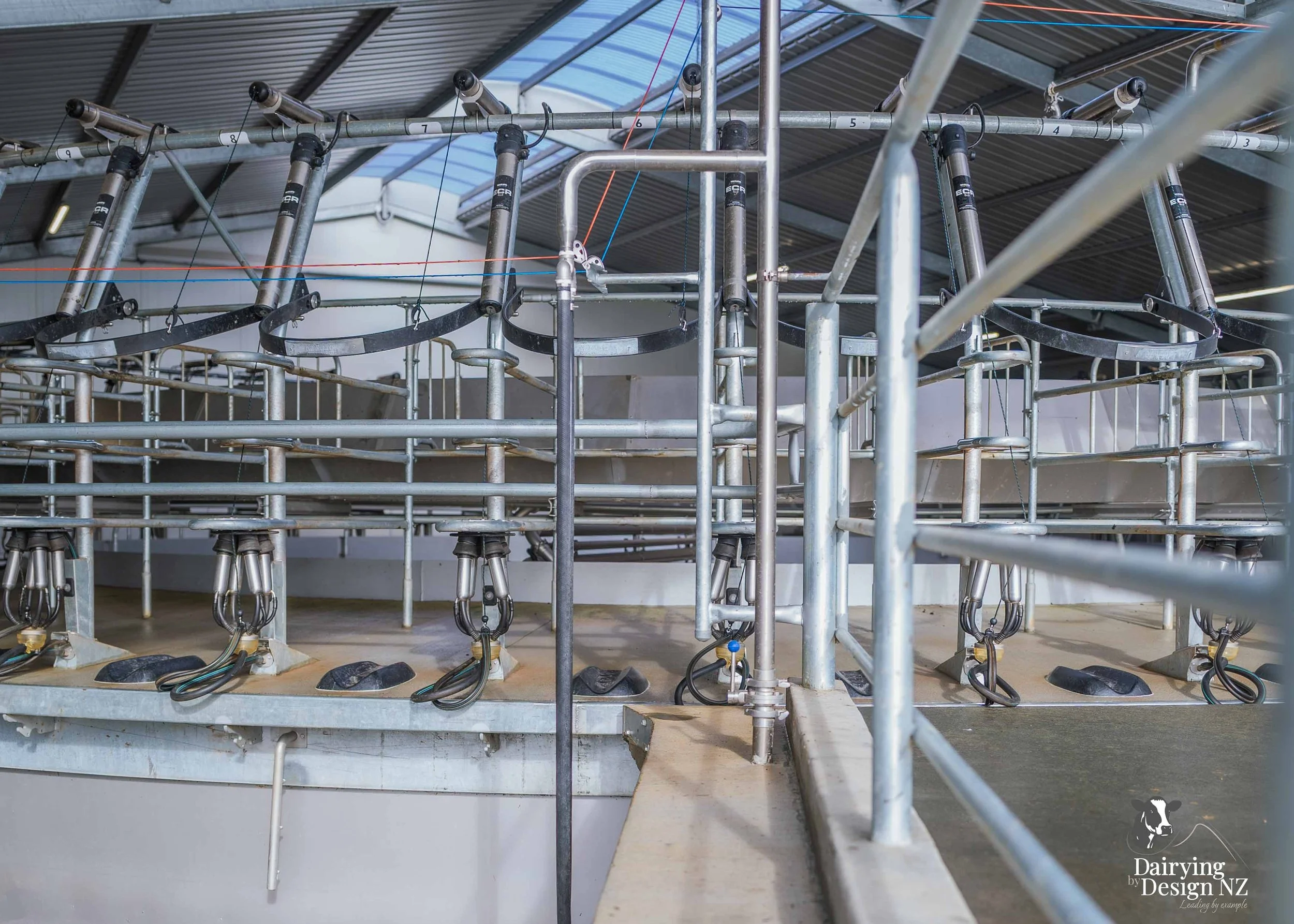  Waikato rotary dairy shed development designed for efficient milking and cow flow built by Don Chapman Waikato Ltd, featuring a Moa Rotary Platform, yard work by Leask Engineering, electrical work by Phase Electrical, project for Graham Preest. 