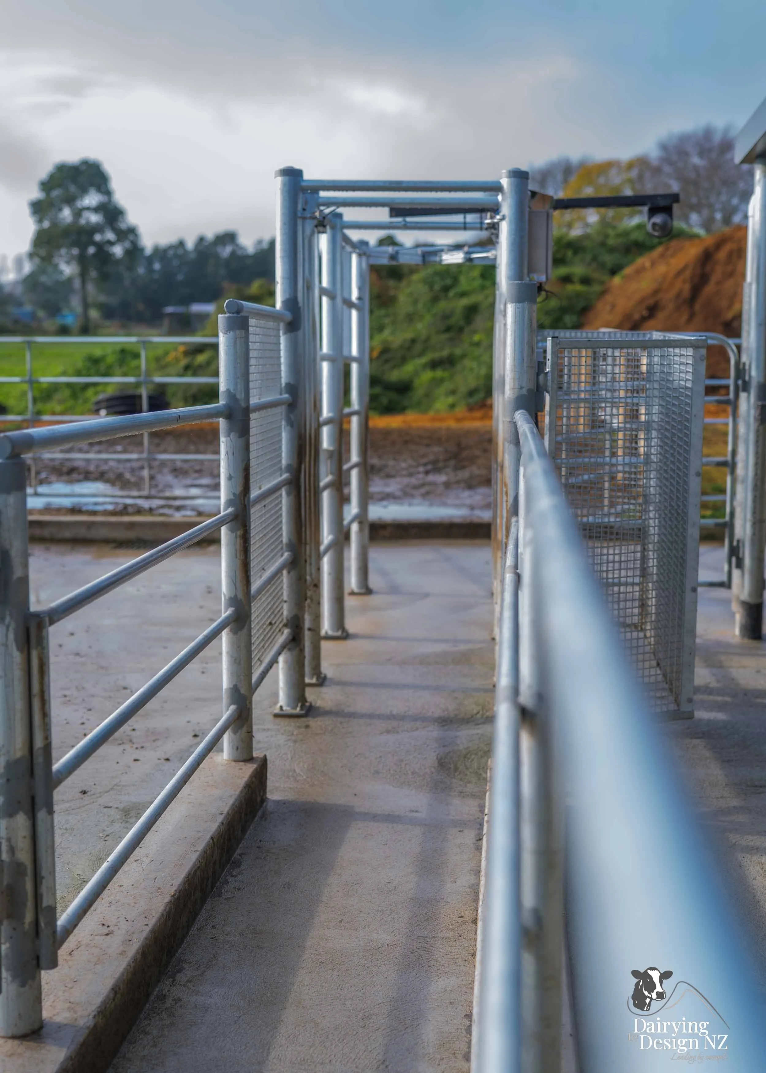  Waikato rotary dairy shed development designed for efficient milking and cow flow built by Don Chapman Waikato Ltd, featuring a Moa Rotary Platform, yard work by Leask Engineering, electrical work by Phase Electrical, project for Graham Preest. 