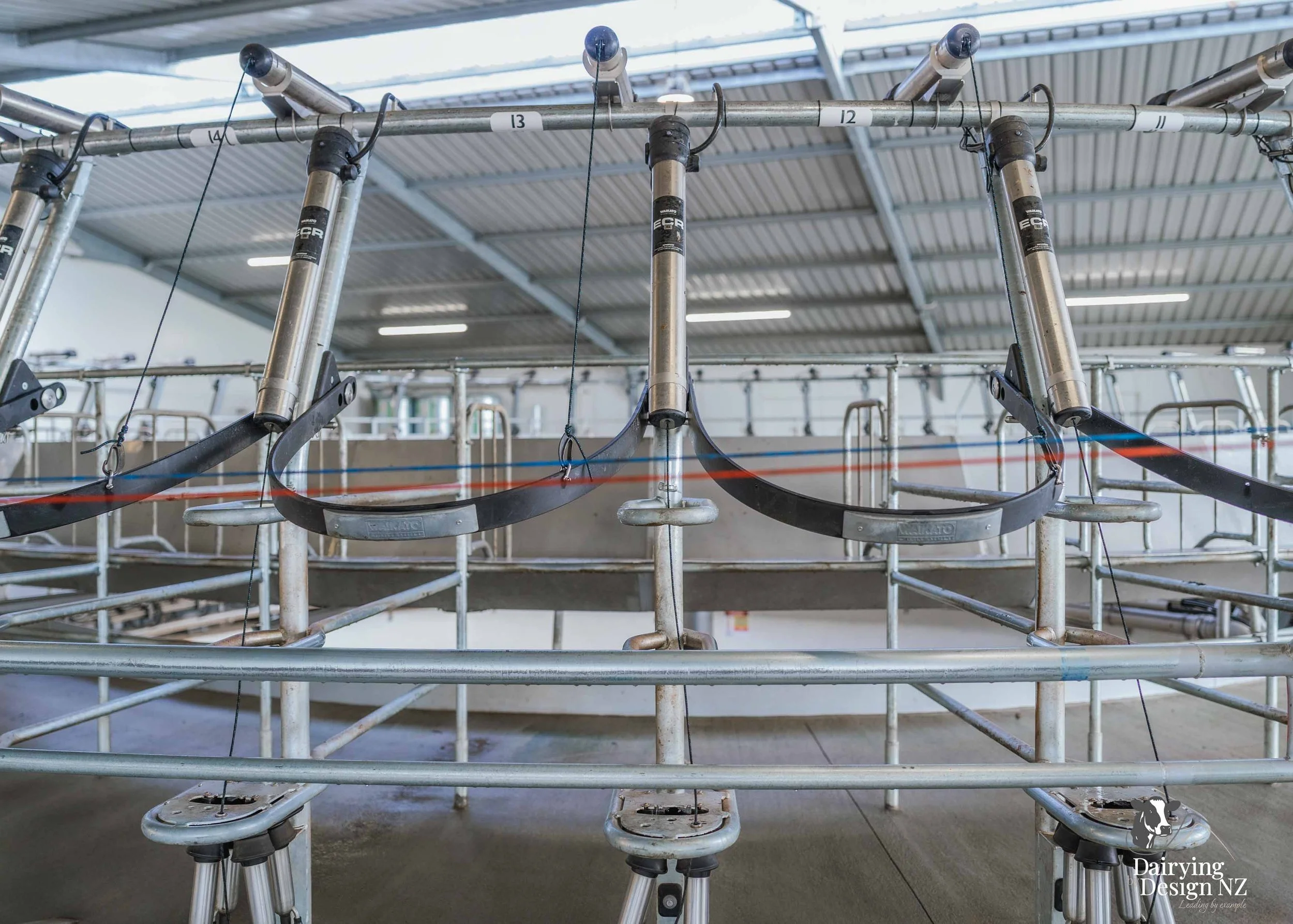  Waikato rotary dairy shed development designed for efficient milking and cow flow built by Don Chapman Waikato Ltd, featuring a Moa Rotary Platform, yard work by Leask Engineering, electrical work by Phase Electrical, project for Graham Preest. 
