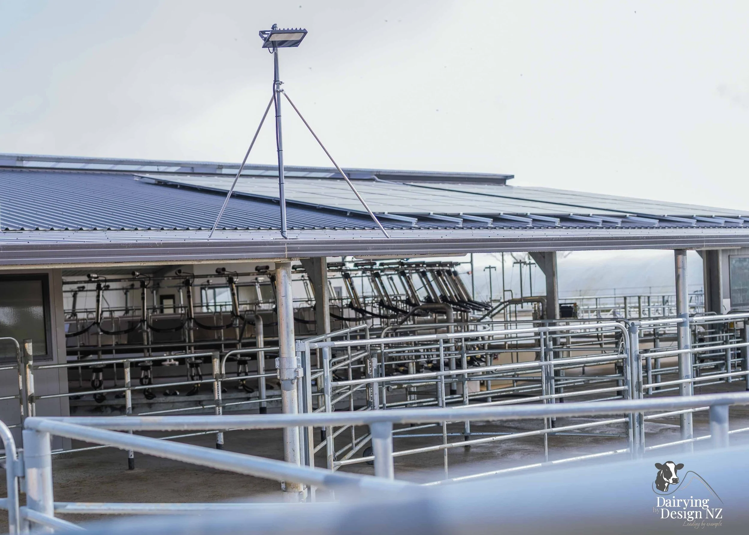  Waikato rotary dairy shed development designed for efficient milking and cow flow built by Don Chapman Waikato Ltd, featuring a Moa Rotary Platform, yard work by Leask Engineering, electrical work by Phase Electrical, project for Graham Preest. 