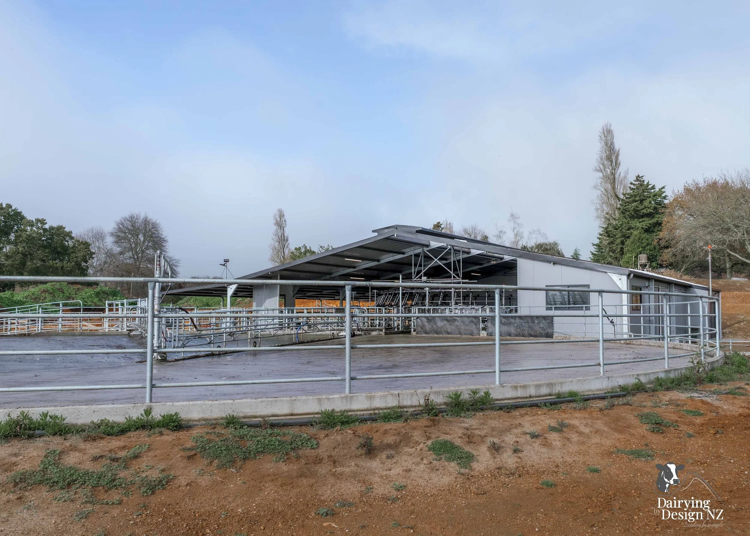  Waikato rotary dairy shed development designed for efficient milking and cow flow built by Don Chapman Waikato Ltd, featuring a Moa Rotary Platform, yard work by Leask Engineering, electrical work by Phase Electrical, project for Graham Preest. 