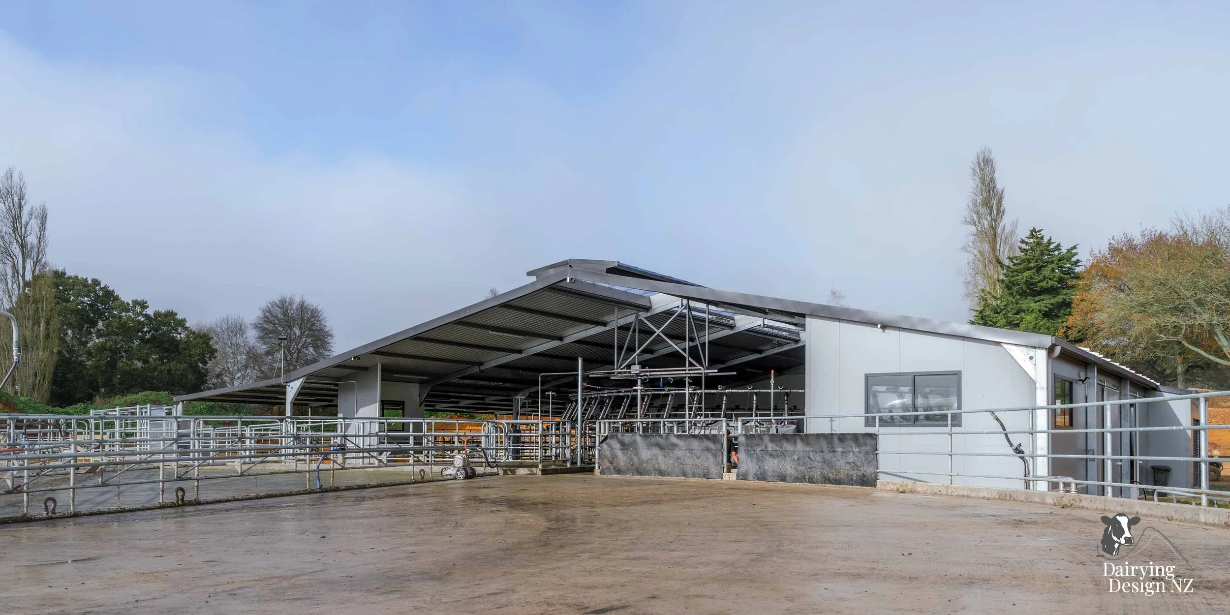  Waikato rotary dairy shed development designed for efficient milking and cow flow built by Don Chapman Waikato Ltd, featuring a Moa Rotary Platform, yard work by Leask Engineering, electrical work by Phase Electrical, project for Graham Preest. 