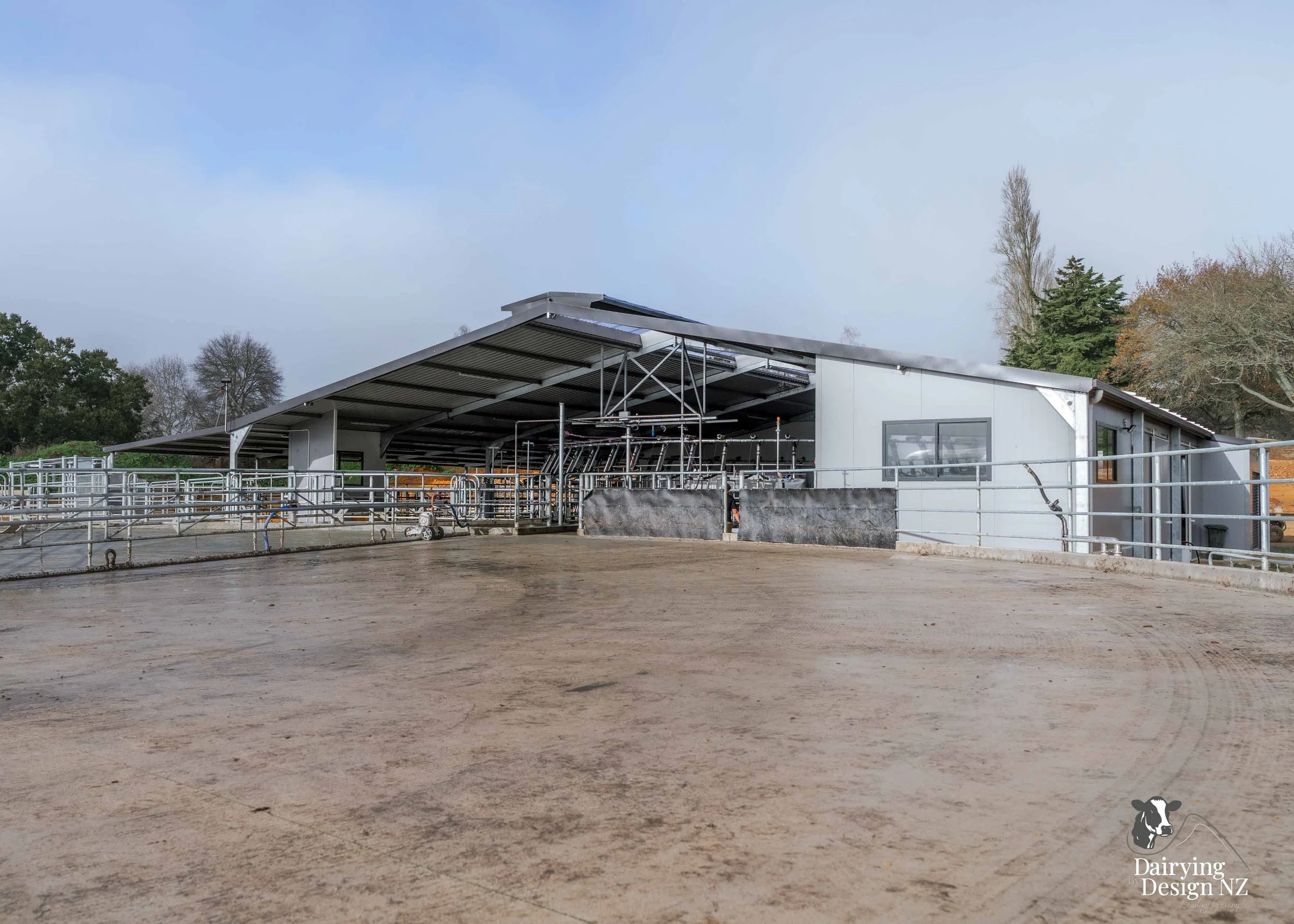  Waikato rotary dairy shed development designed for efficient milking and cow flow built by Don Chapman Waikato Ltd, featuring a Moa Rotary Platform, yard work by Leask Engineering, electrical work by Phase Electrical, project for Graham Preest. 