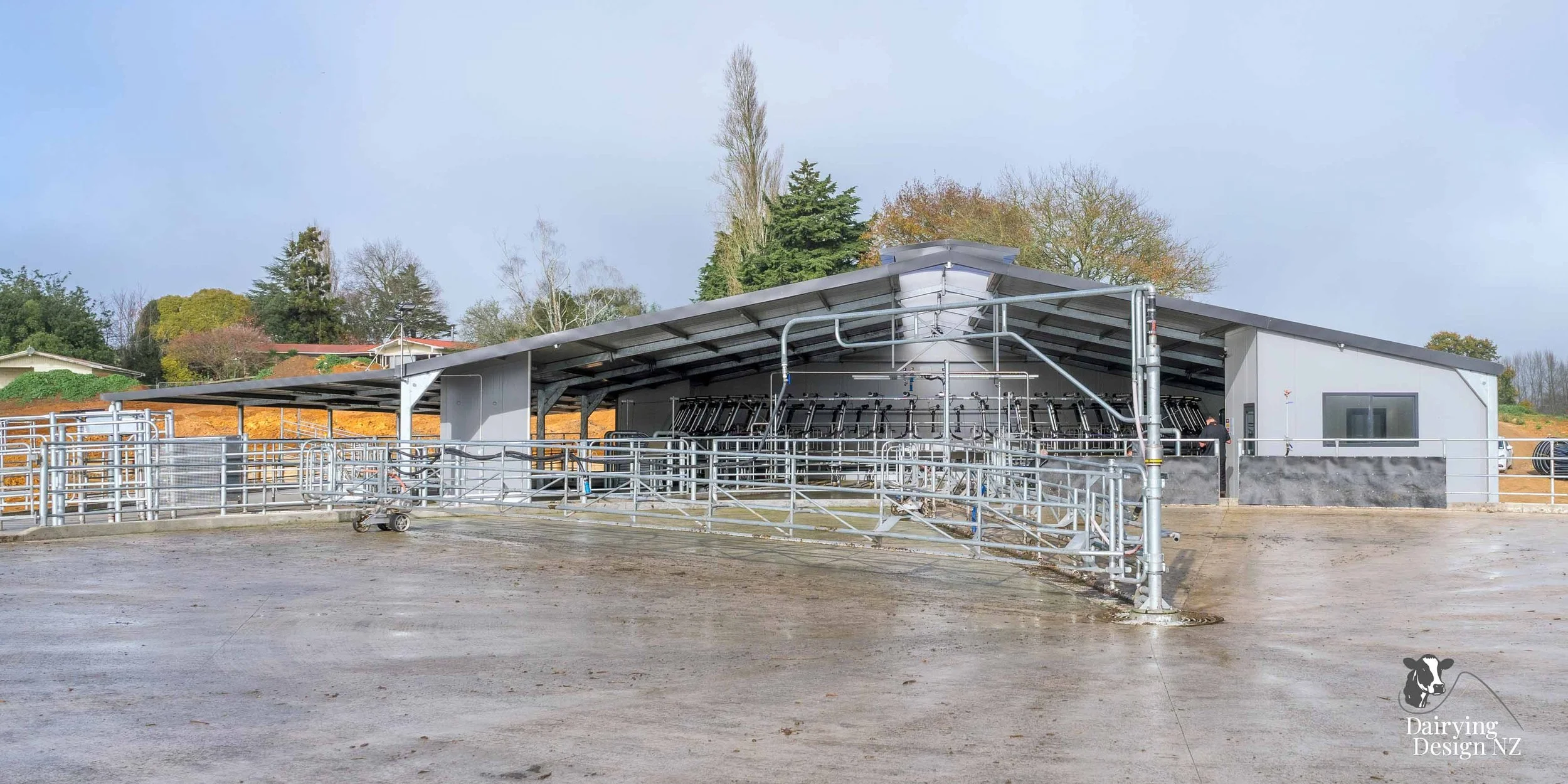  Waikato rotary dairy shed development designed for efficient milking and cow flow built by Don Chapman Waikato Ltd, featuring a Moa Rotary Platform, yard work by Leask Engineering, electrical work by Phase Electrical, project for Graham Preest. 