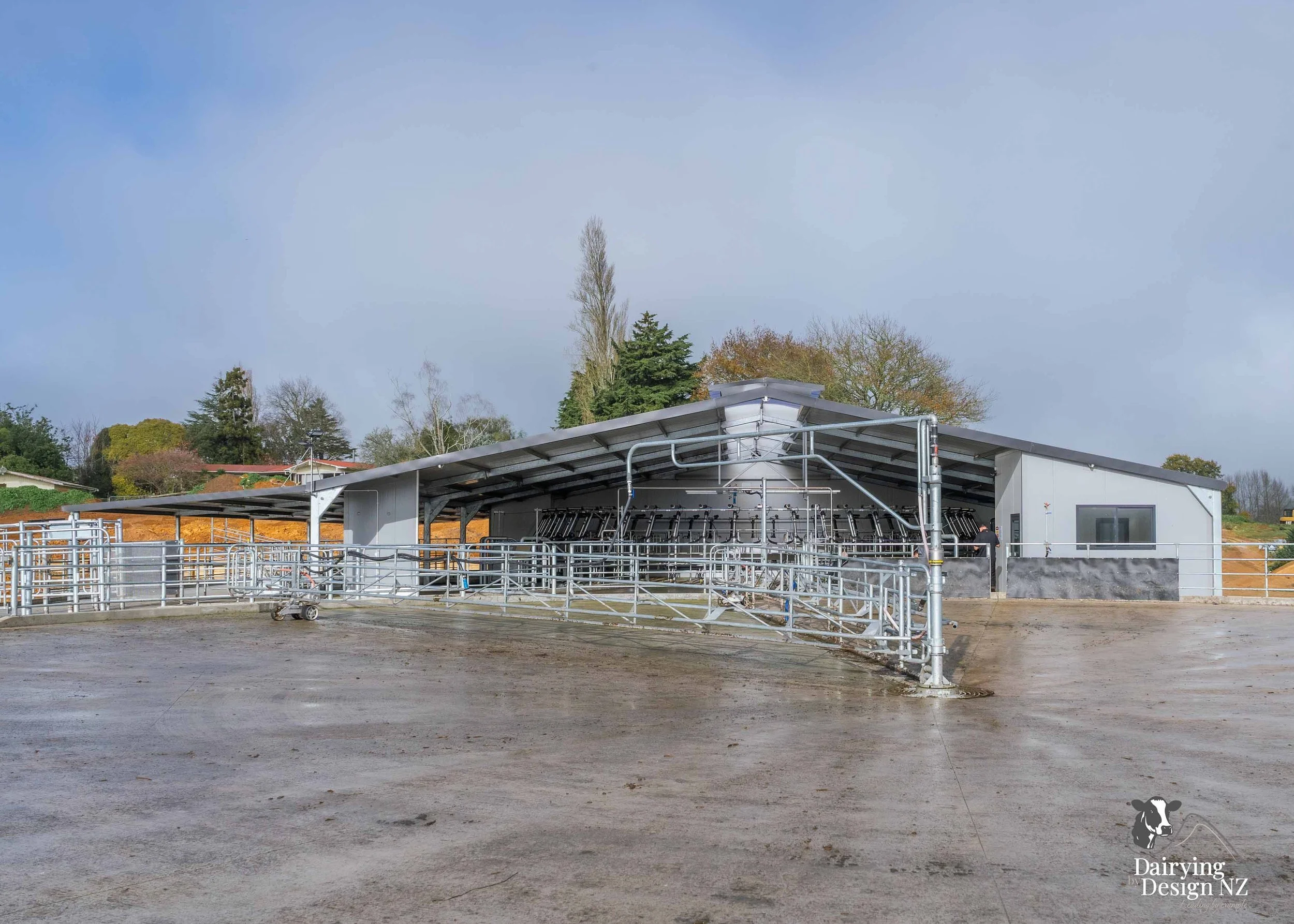  Waikato rotary dairy shed development designed for efficient milking and cow flow built by Don Chapman Waikato Ltd, featuring a Moa Rotary Platform, yard work by Leask Engineering, electrical work by Phase Electrical, project for Graham Preest. 