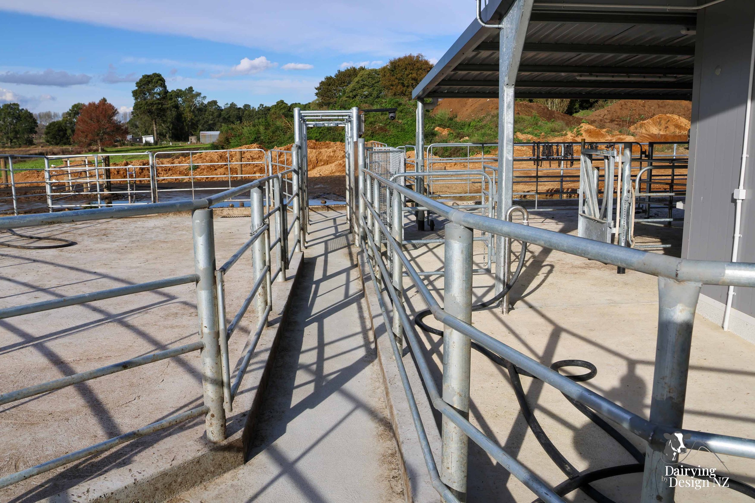  Waikato rotary dairy shed development designed for efficient milking and cow flow built by Don Chapman Waikato Ltd, featuring a Moa Rotary Platform, yard work by Leask Engineering, electrical work by Phase Electrical, project for Graham Preest. 