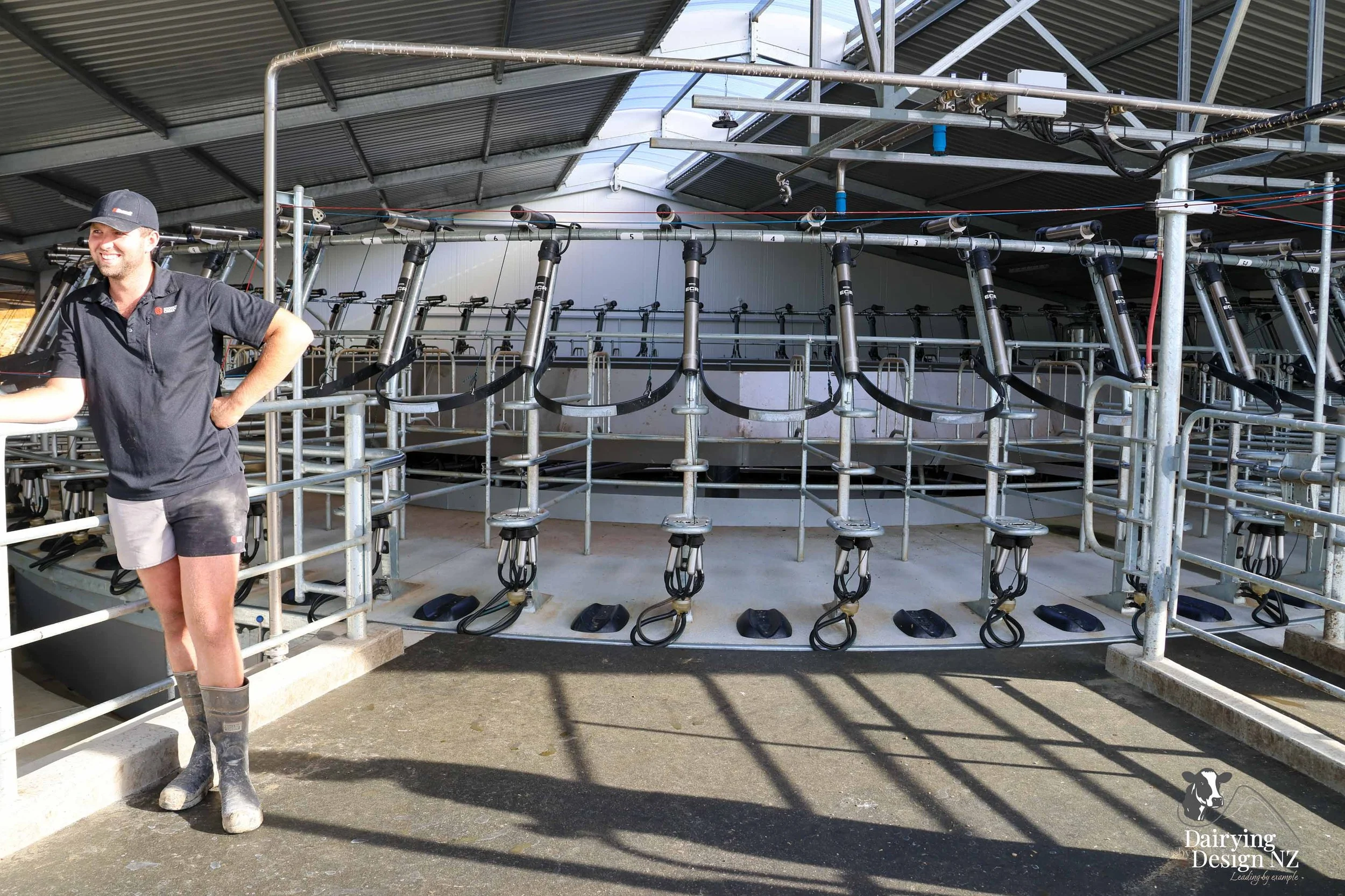  Waikato rotary dairy shed development designed for efficient milking and cow flow built by Don Chapman Waikato Ltd, featuring a Moa Rotary Platform, yard work by Leask Engineering, electrical work by Phase Electrical, project for Graham Preest. 