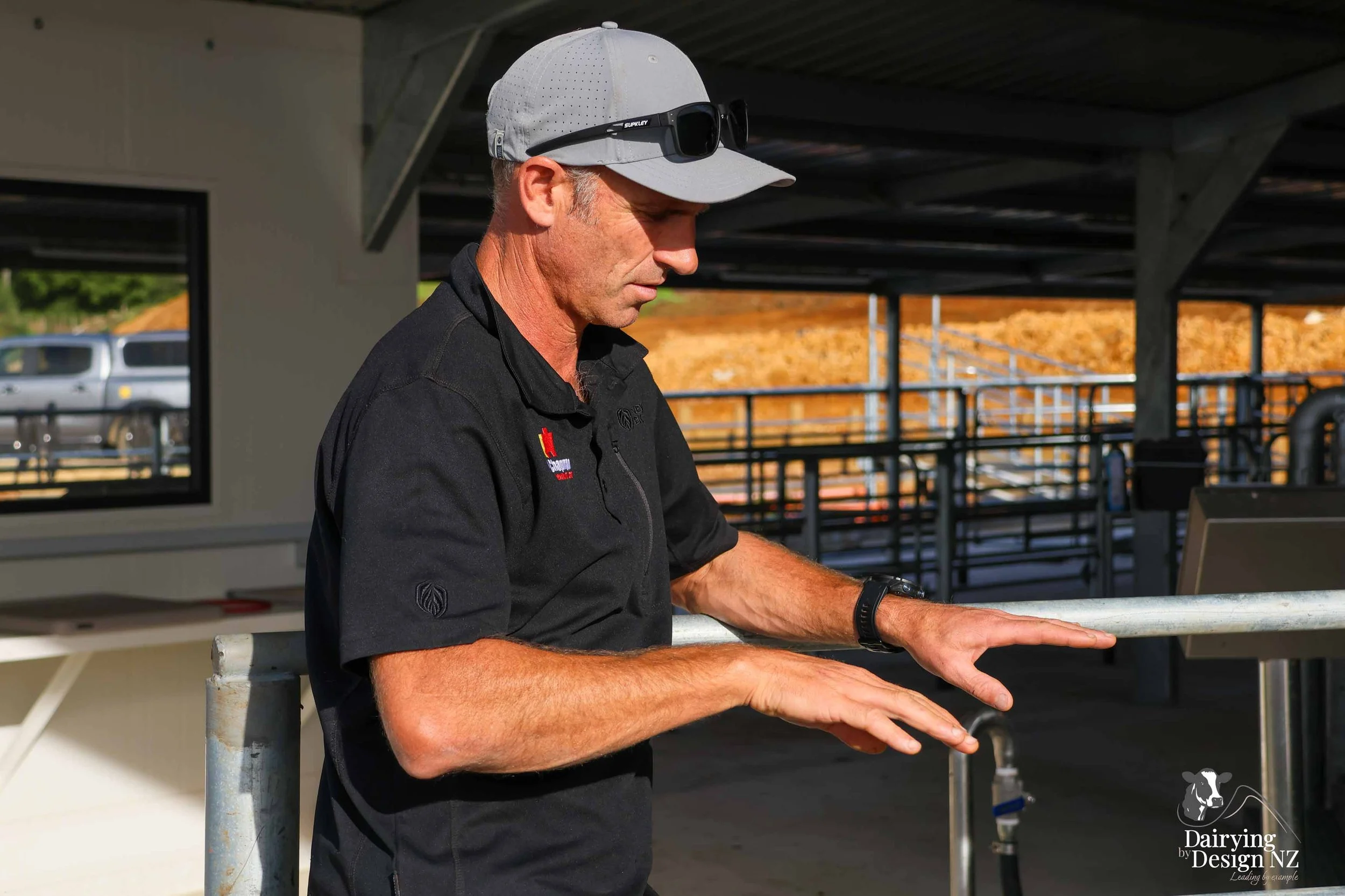  Waikato rotary dairy shed development designed for efficient milking and cow flow built by Don Chapman Waikato Ltd, featuring a Moa Rotary Platform, yard work by Leask Engineering, electrical work by Phase Electrical, project for Graham Preest. 