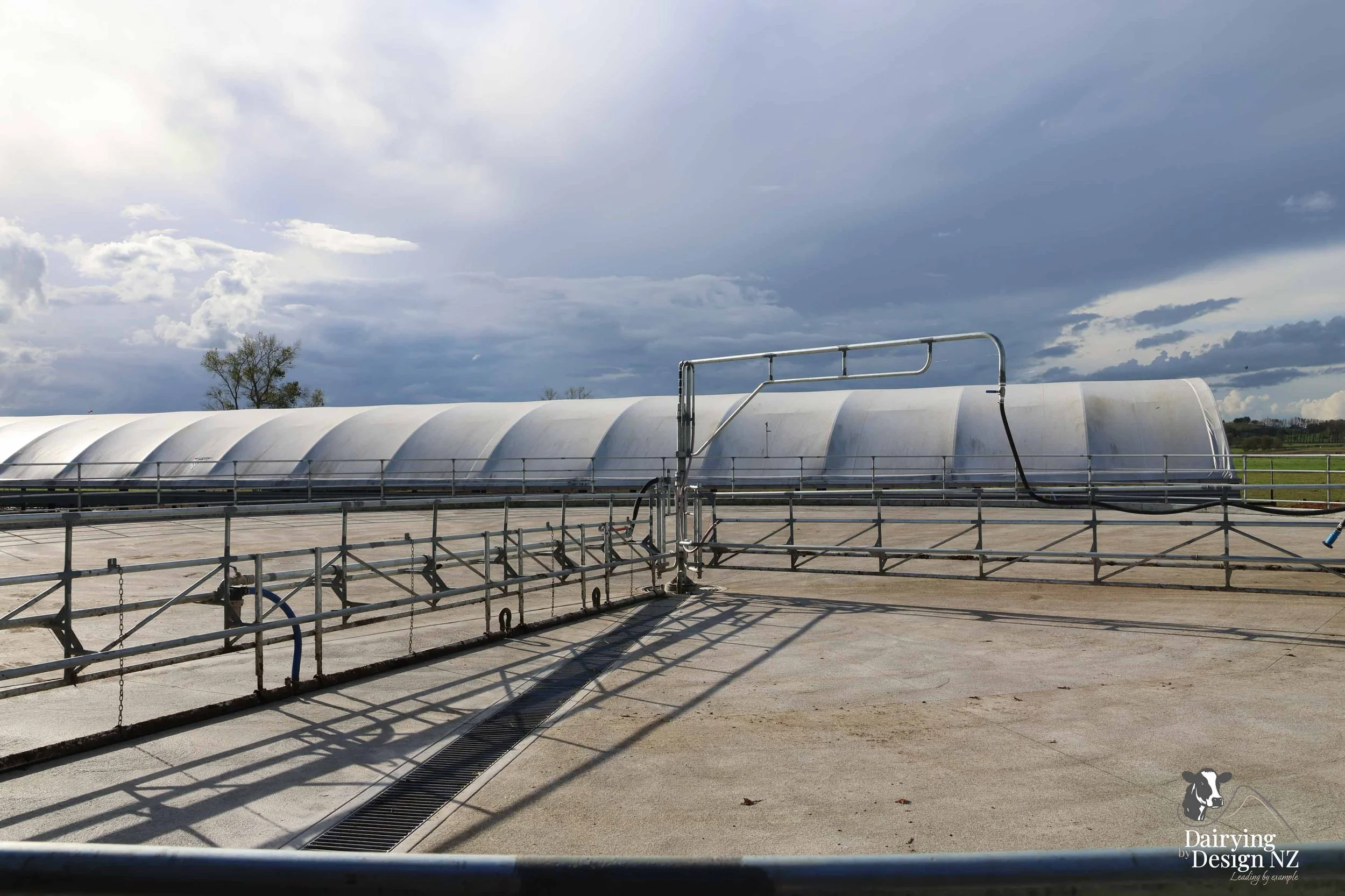  Waikato rotary dairy shed development designed for efficient milking and cow flow built by Don Chapman Waikato Ltd, featuring a Moa Rotary Platform, yard work by Leask Engineering, electrical work by Phase Electrical, project for Graham Preest. 