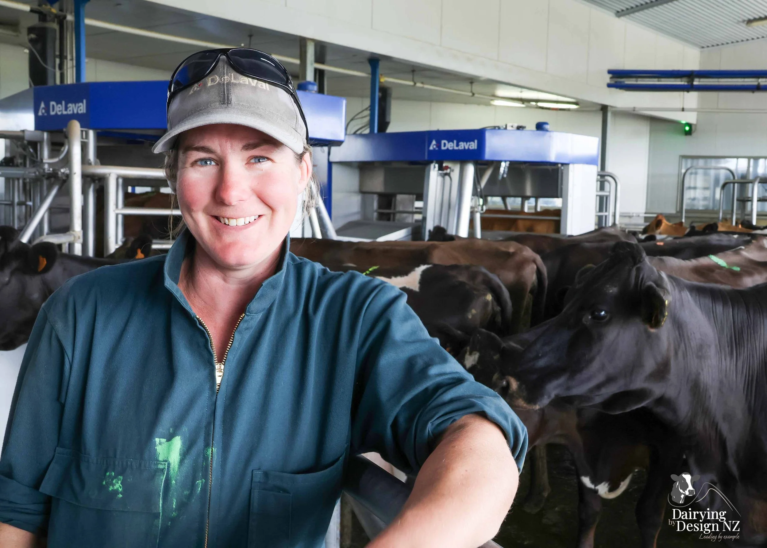  Canterbury robotic dairy shed development designed for efficient milking and cow flow Milking pant and effluent by Canterbury Farm Services, featuring Solar system by Sunergy Solar, Stock feed supplier is Pye Group, Earthworks by Oliver Brothers, pr