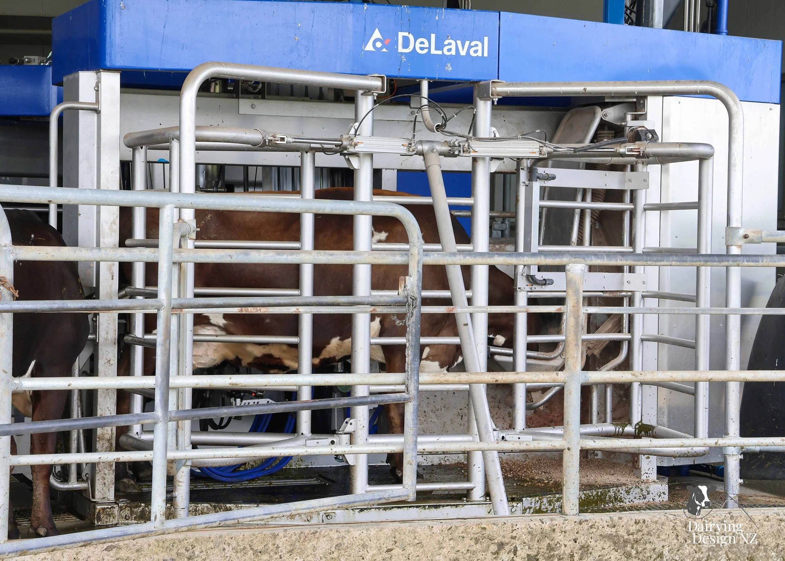  Canterbury robotic dairy shed development designed for efficient milking and cow flow Milking pant and effluent by Canterbury Farm Services, featuring Solar system by Sunergy Solar, Stock feed supplier is Pye Group, Earthworks by Oliver Brothers, pr